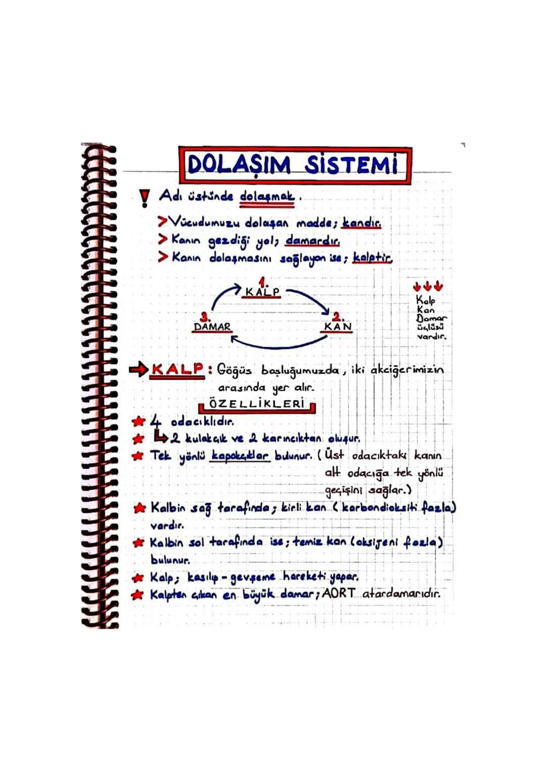 DOLAŞIM SİSTEMİ
▼ Adi üstünde dolaşmak.
>Vücudumuzu dolaşan madde; kandir.
> Kanın gezdiği yol; damardır.
> Kanın dolaşmasını sağlayan ise; 