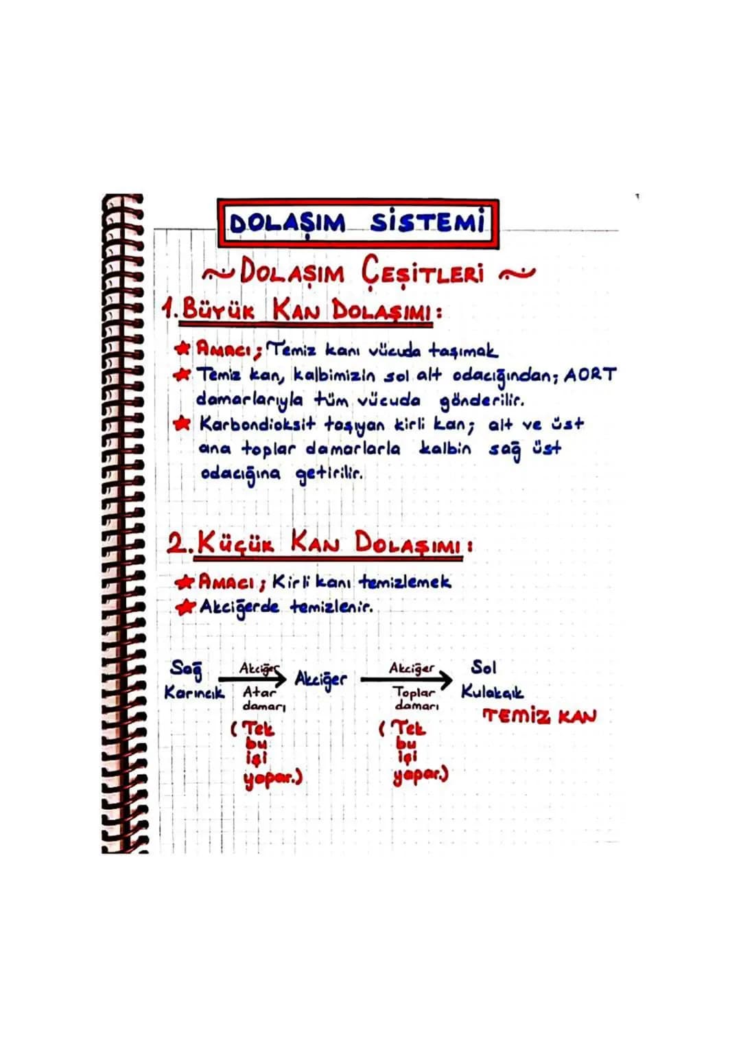 DOLAŞIM SİSTEMİ
▼ Adi üstünde dolaşmak.
>Vücudumuzu dolaşan madde; kandir.
> Kanın gezdiği yol; damardır.
> Kanın dolaşmasını sağlayan ise; 