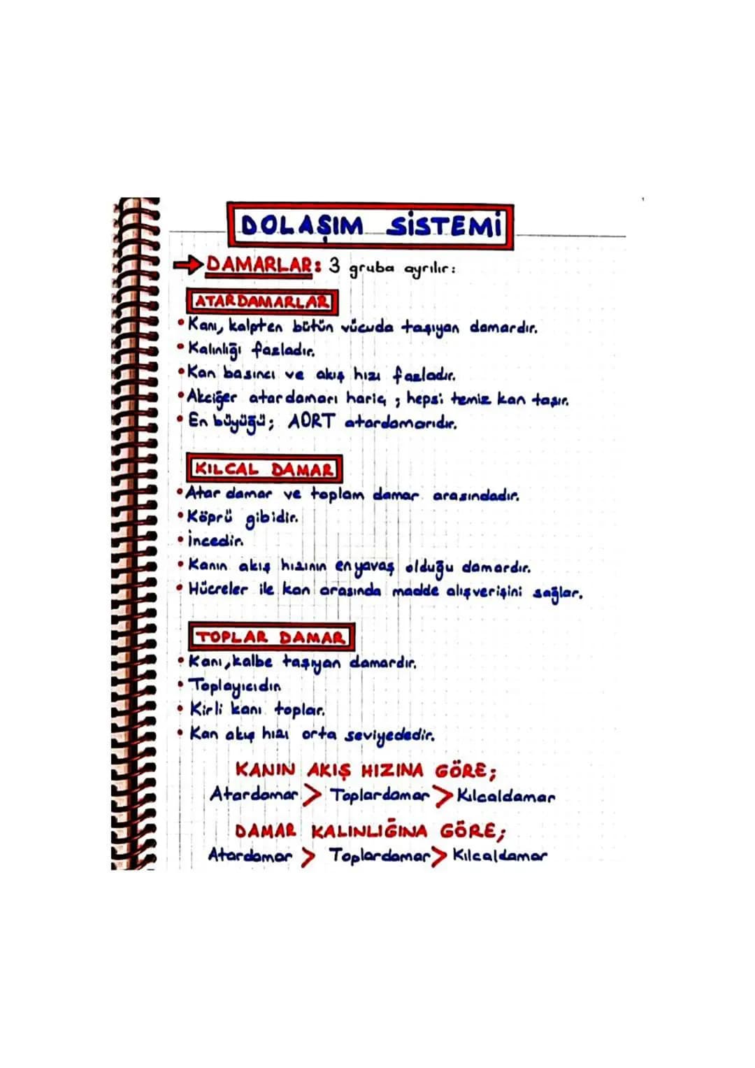 DOLAŞIM SİSTEMİ
▼ Adi üstünde dolaşmak.
>Vücudumuzu dolaşan madde; kandir.
> Kanın gezdiği yol; damardır.
> Kanın dolaşmasını sağlayan ise; 