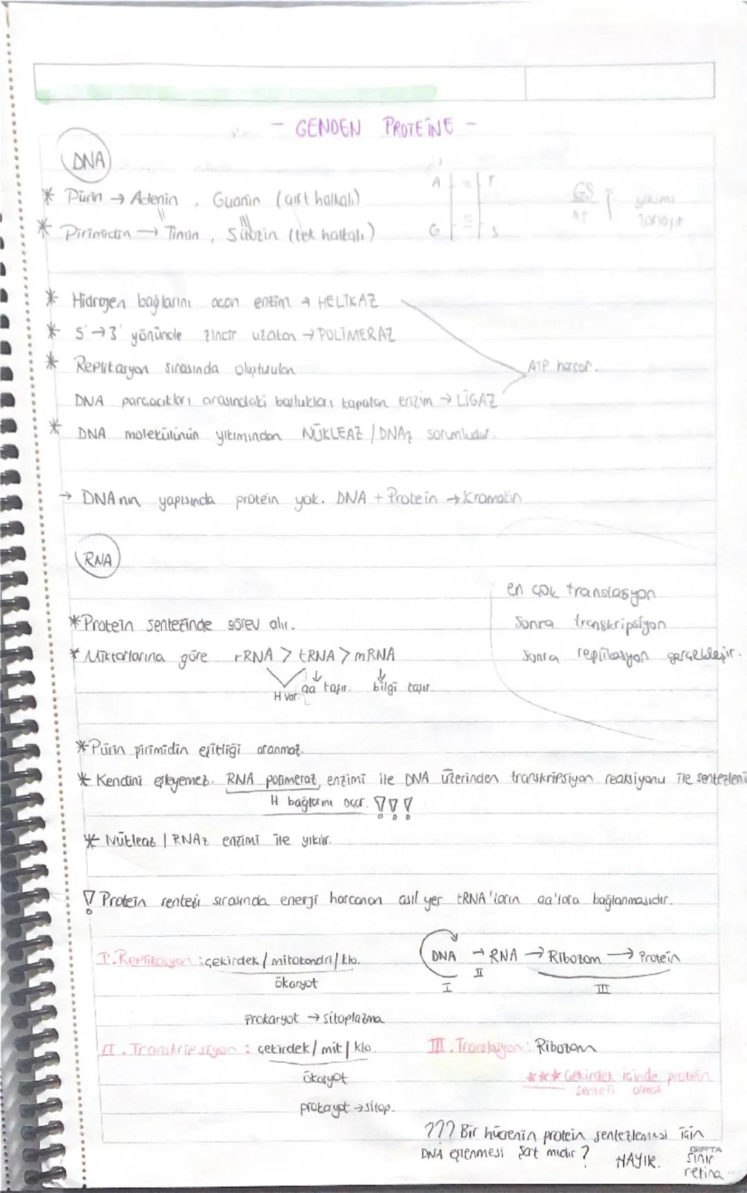 12. sınıf biyoloji