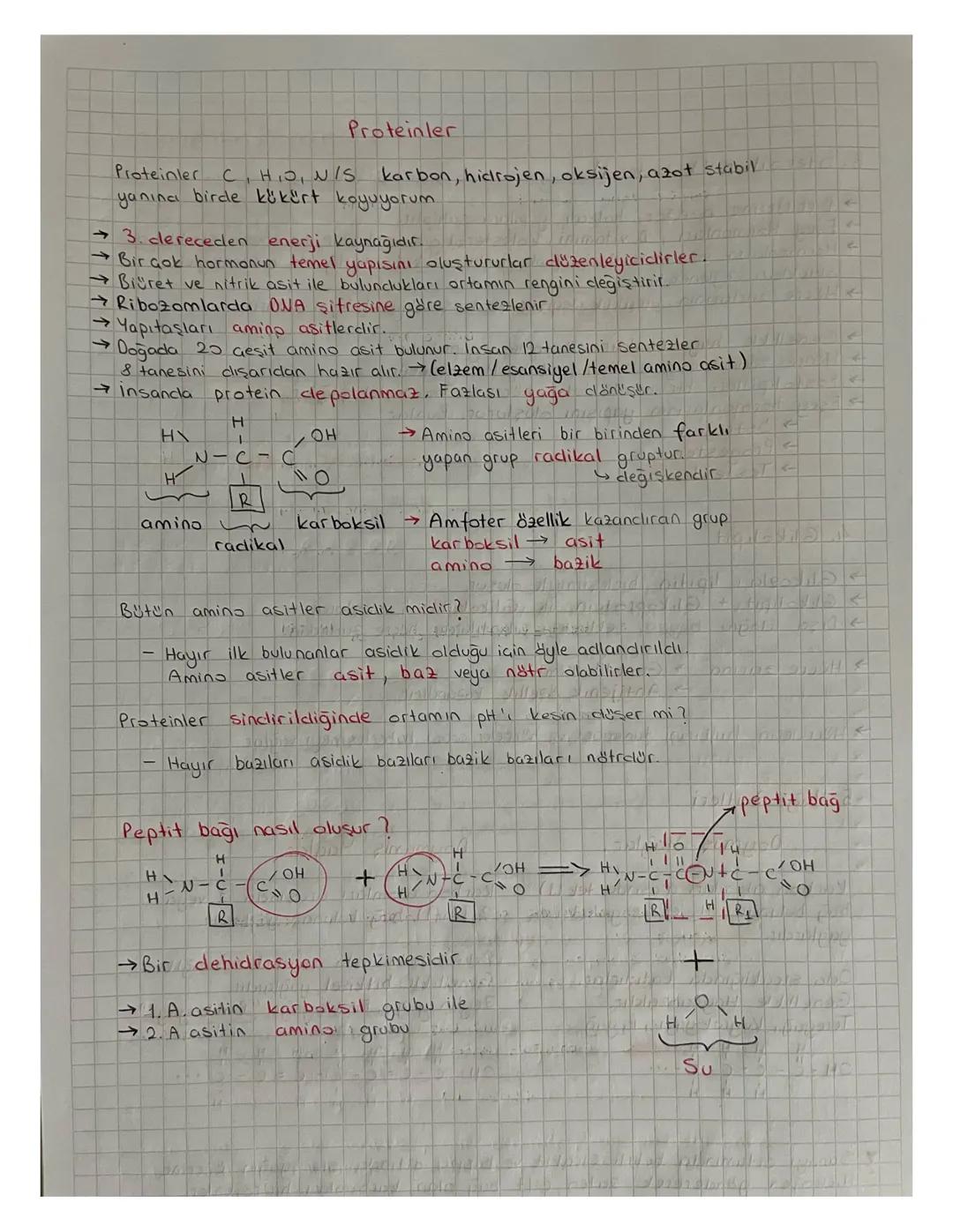 Tyt 9. Sınıf Biyoloji Organik Bileşikler 3. Proteinler 