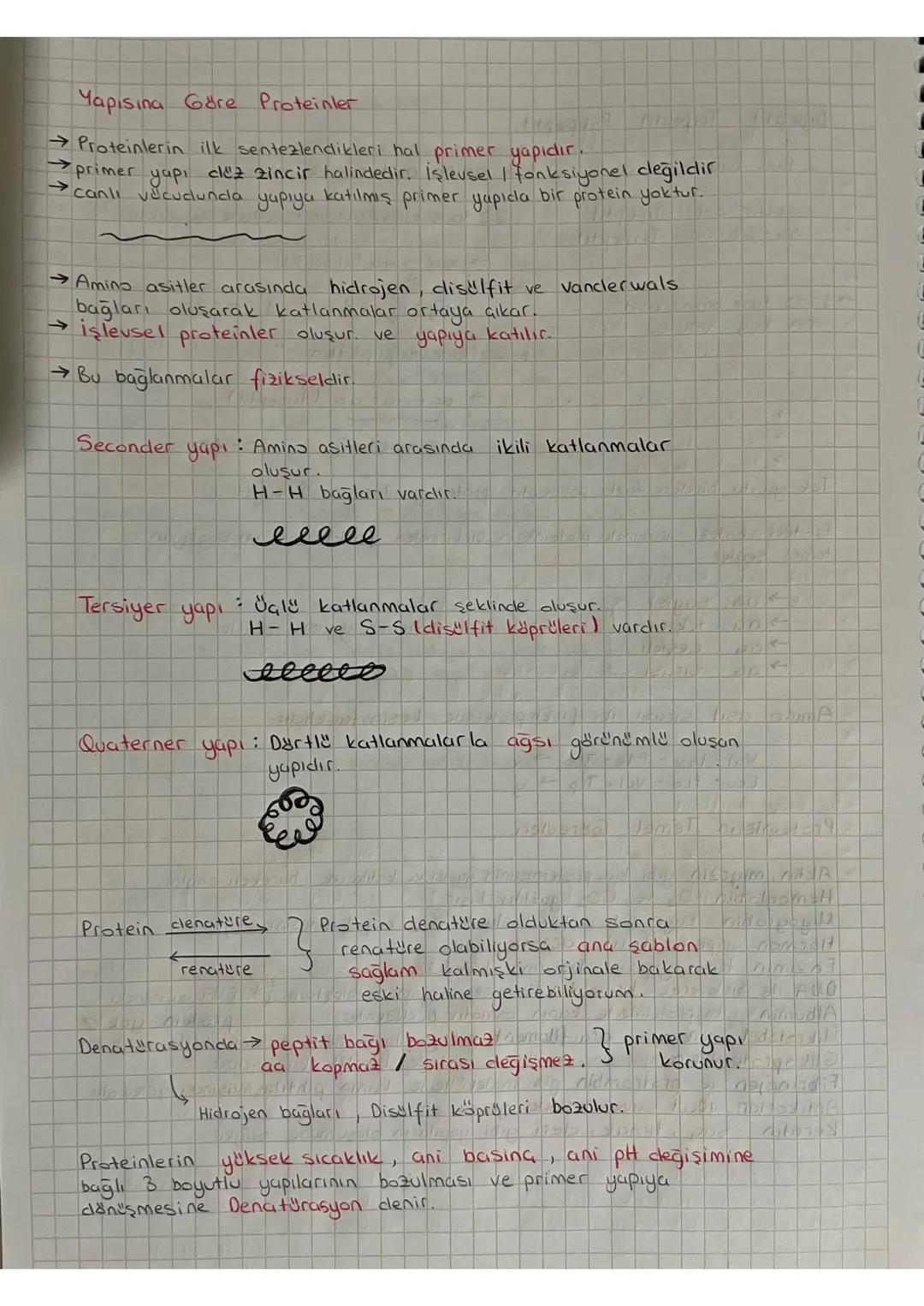 Proteinler
Proteinler
C, HD, N/S karbon, hidrojen, oksijen, azot stabil
yanına birde kükürt koyuyorum
3. clereceden enerji kaynağıdır.
→Birç