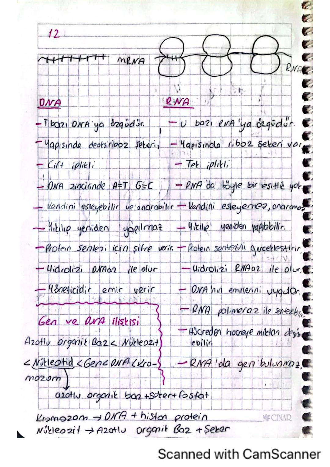 12
MRNA
888.
RNA
ONA
-T bazı ONA ya özgüdür.
-Yapısında deoksiriboz şekeri,
Cift iplikli
DNA zincirinde AT G=C
RNA
- U bazı RNA 'ya örgüdür.