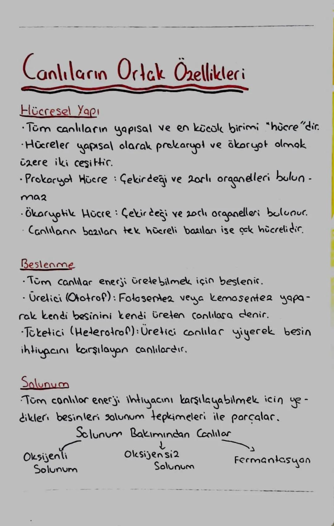 Canlıların Ortak Özellikleri