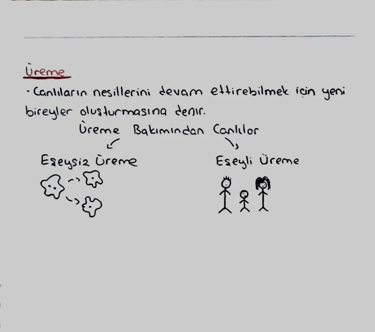 # Canlıların Ortak Özellikleri

## Hücresel Yapı
* Tüm canlıların yapısal ve en küçük birimi "hücre "dir.
* Hücreler yapısal olarak prokaryo