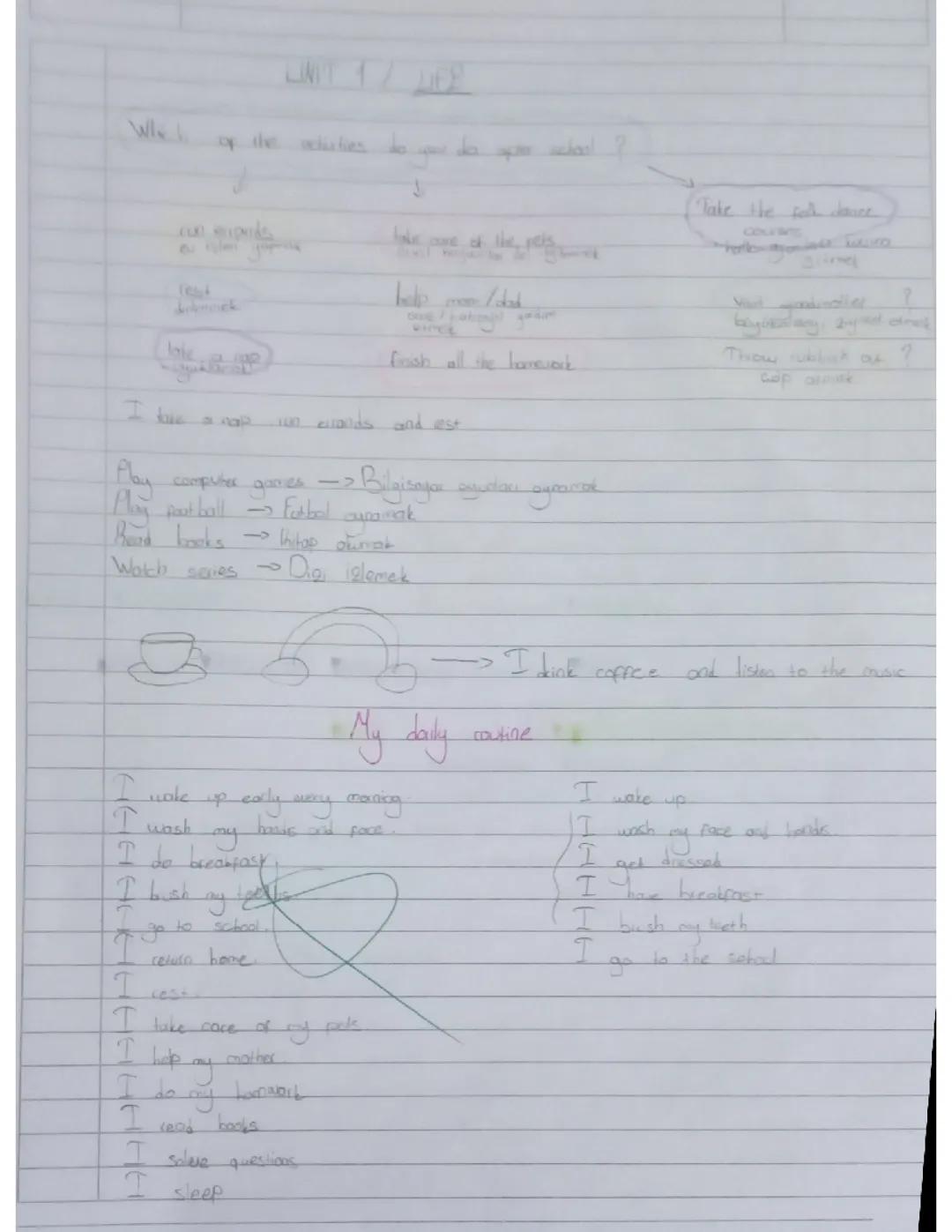 6. Sınıf İngilizce - Life Ünitesi Konuları