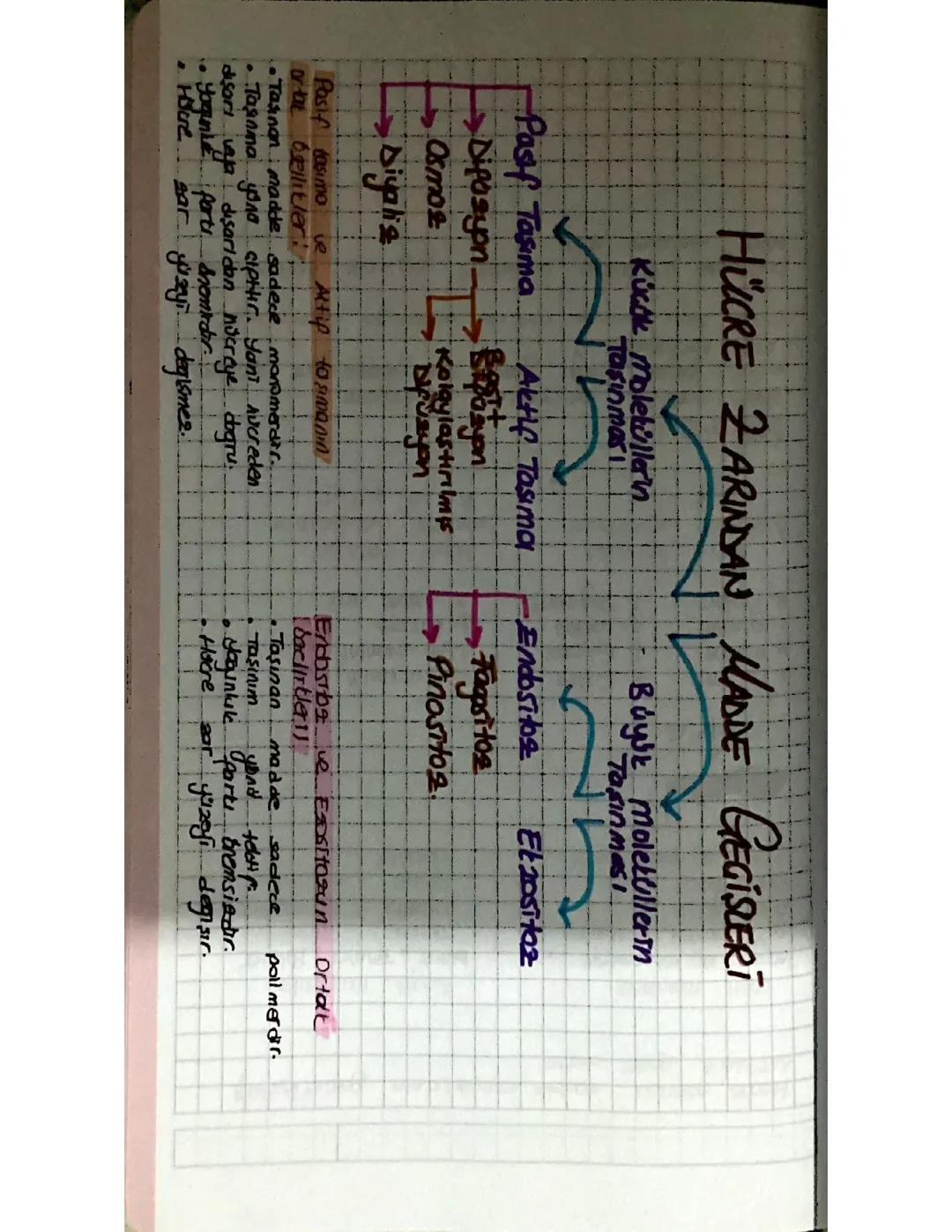 Hücre zarından madde geçişi