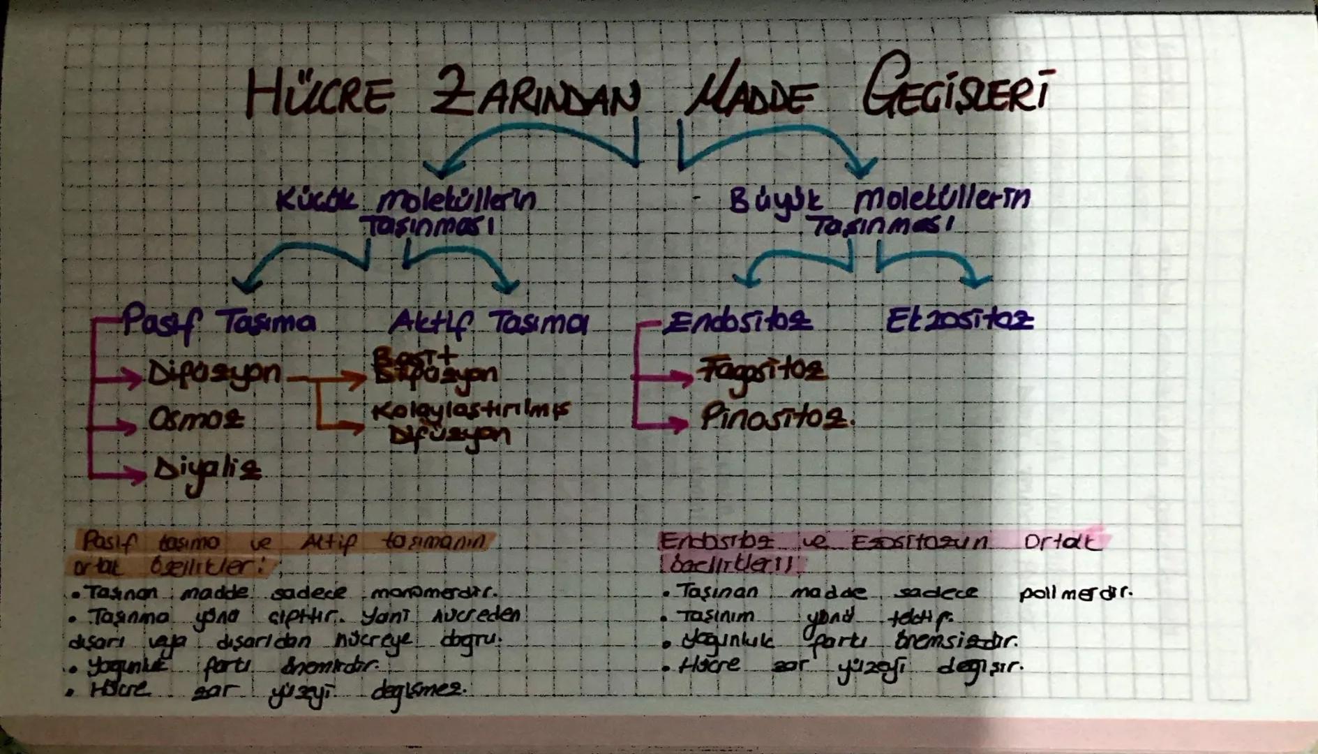 HÜCRE ZARINDAN MADDE GEGİSLERİ
Kück moleküllerin
Tasinmasi
N
Buyuk molekullerin
Tasinmasi
Pasif Tasima
Dipasyon.
Osmos
Aktif Tasima
Exposyan