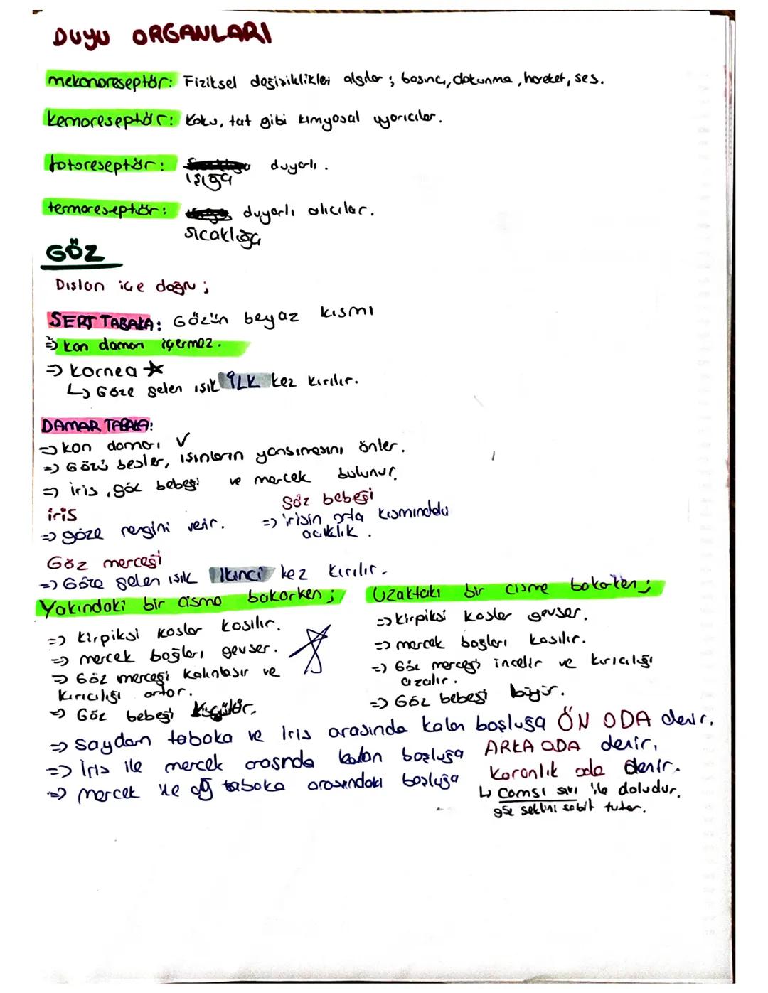 Biyoloji duyu organları