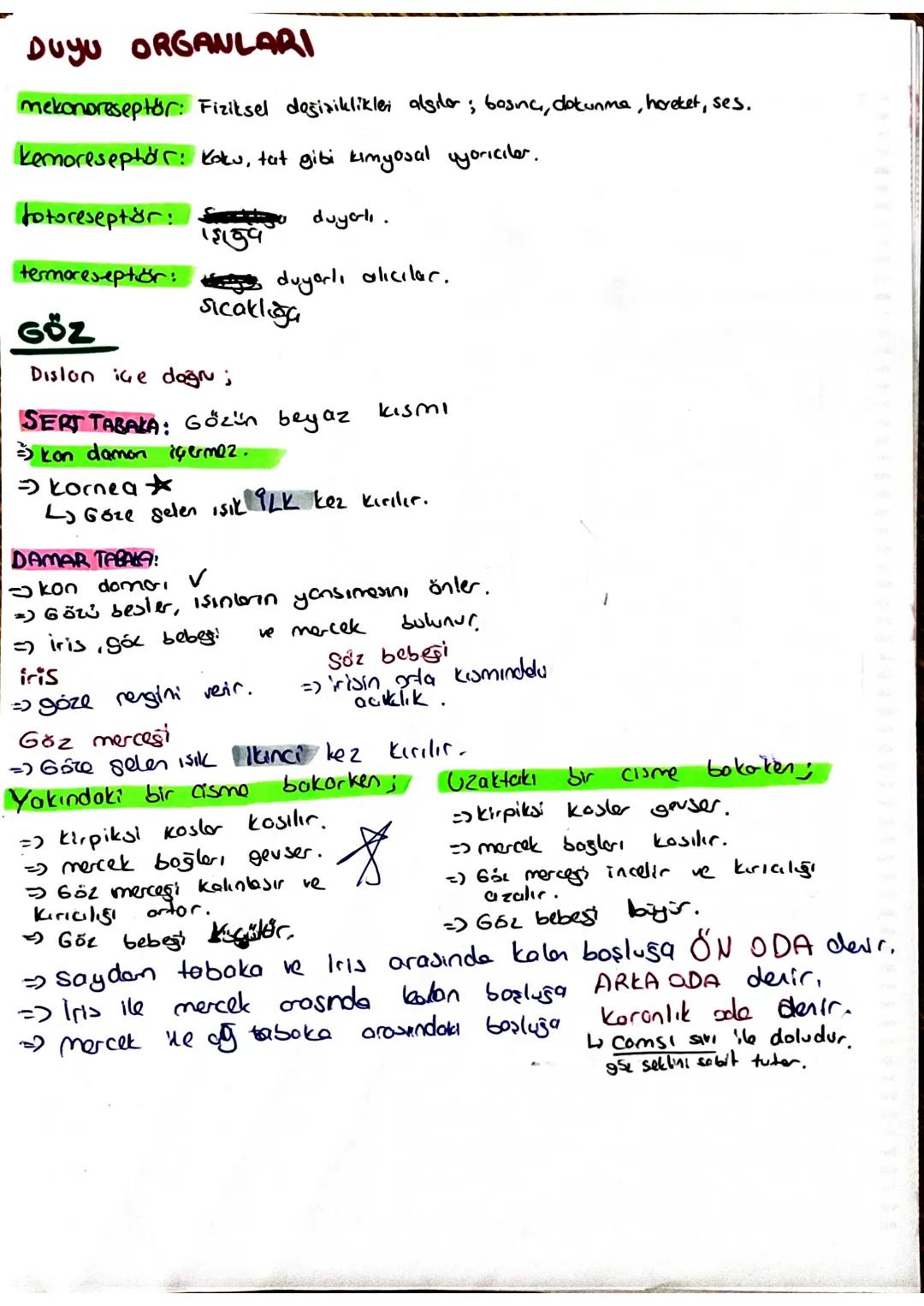 Duyu ORGANLARI
mekonoreseptor: Fiziksel değişikliklei algılar; basinc, dokunma, hareket, ses.
kemoreseptör: Kaku, tut gibi kimyosal yoricile