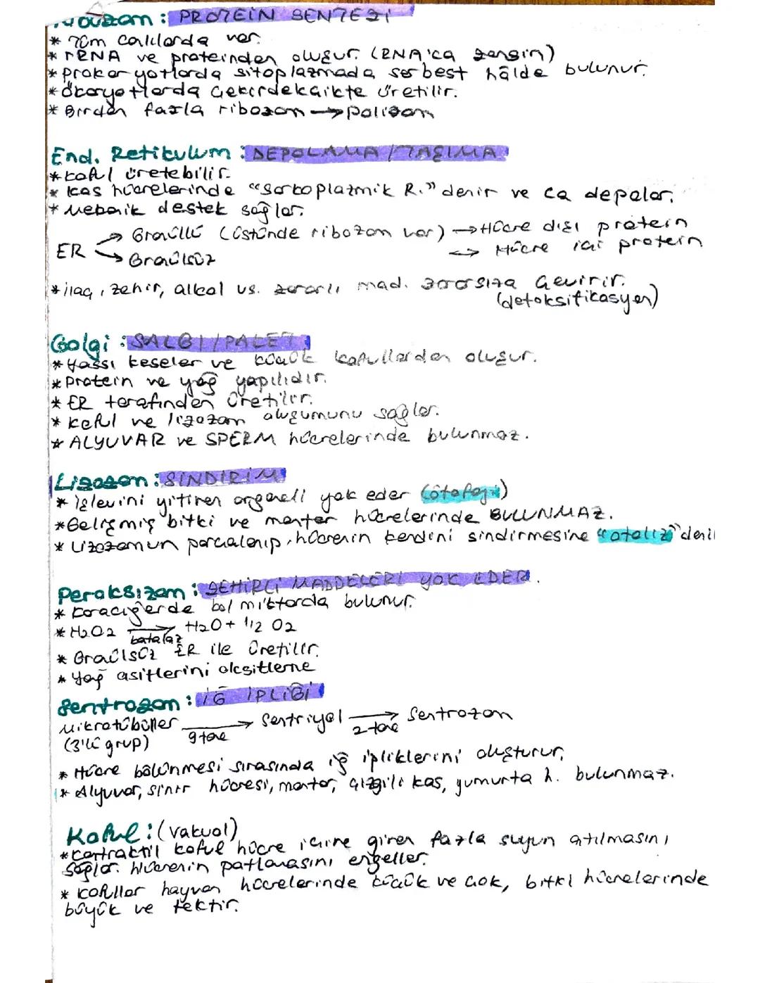 TYT BİYOLOJİ HÜCRE 2 (ORGANELLER)