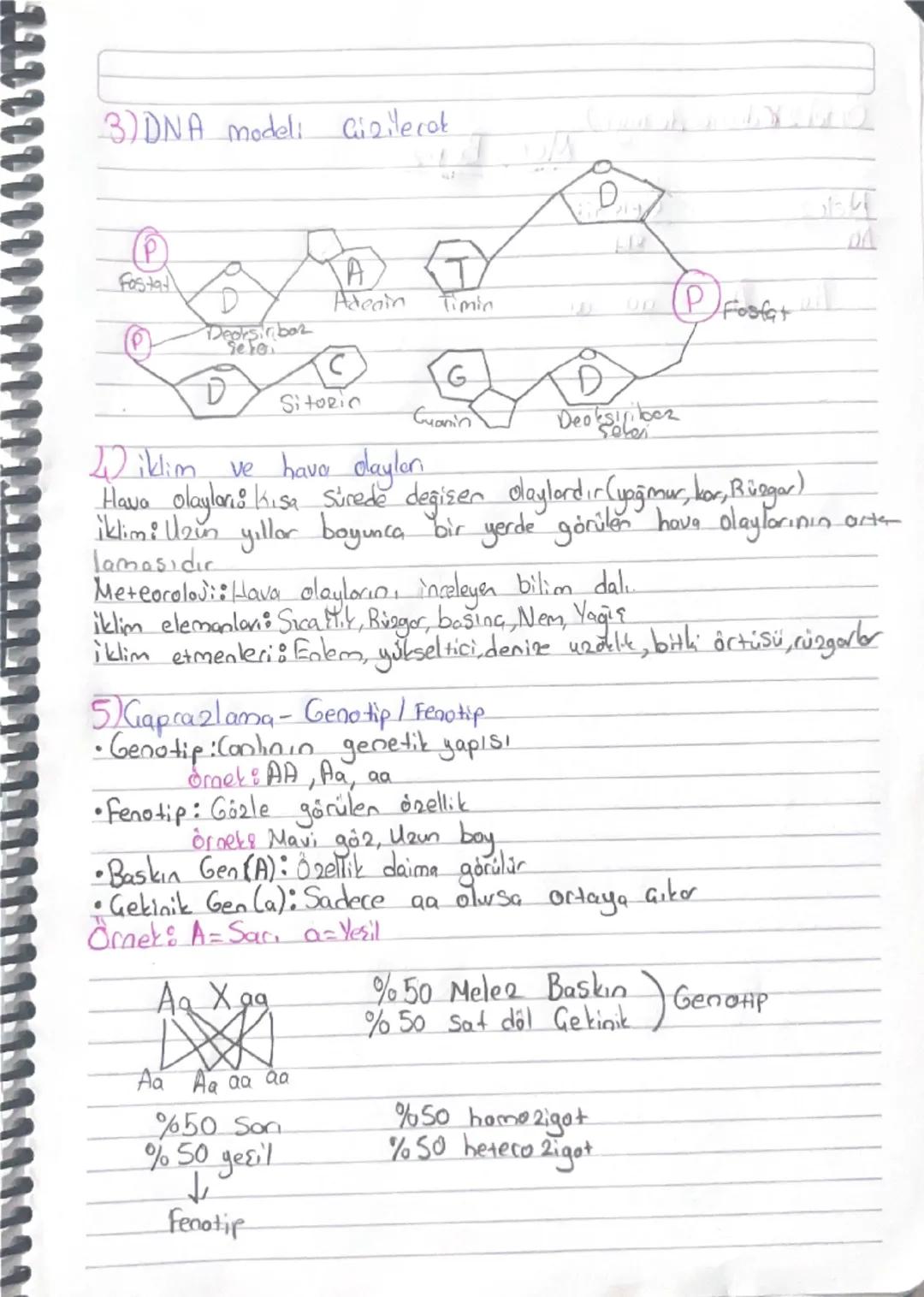 Fen Bilimlei
Mevsimler (deel toribler) özel tanihlerin önemi
Mevsimlerin oluşma nedeni: Diaga ekseni eğik olduğu için
Güneş ışınları yıl boy
