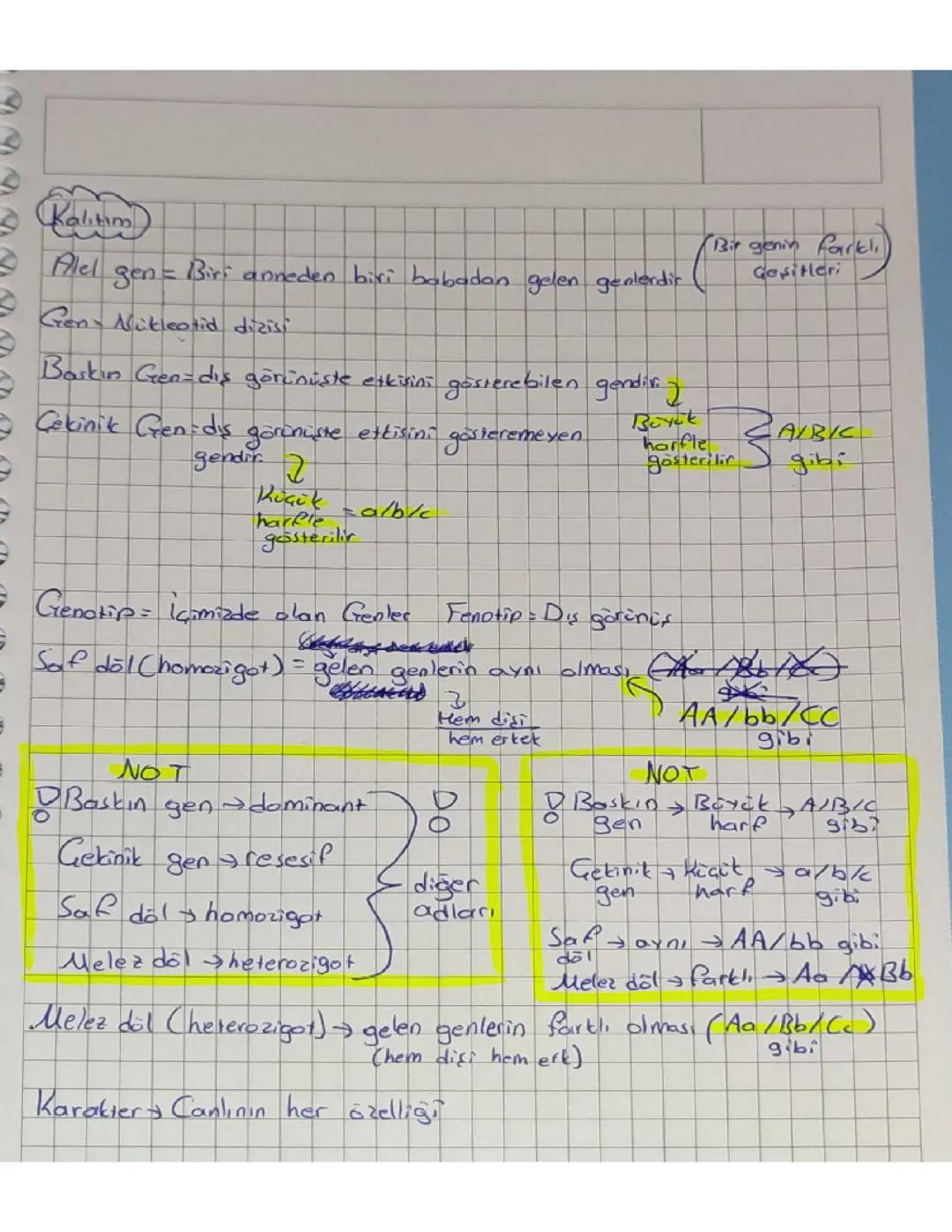 8. Sınıf Fen Bilimleri: Kalıtım Konusu Ders Notları