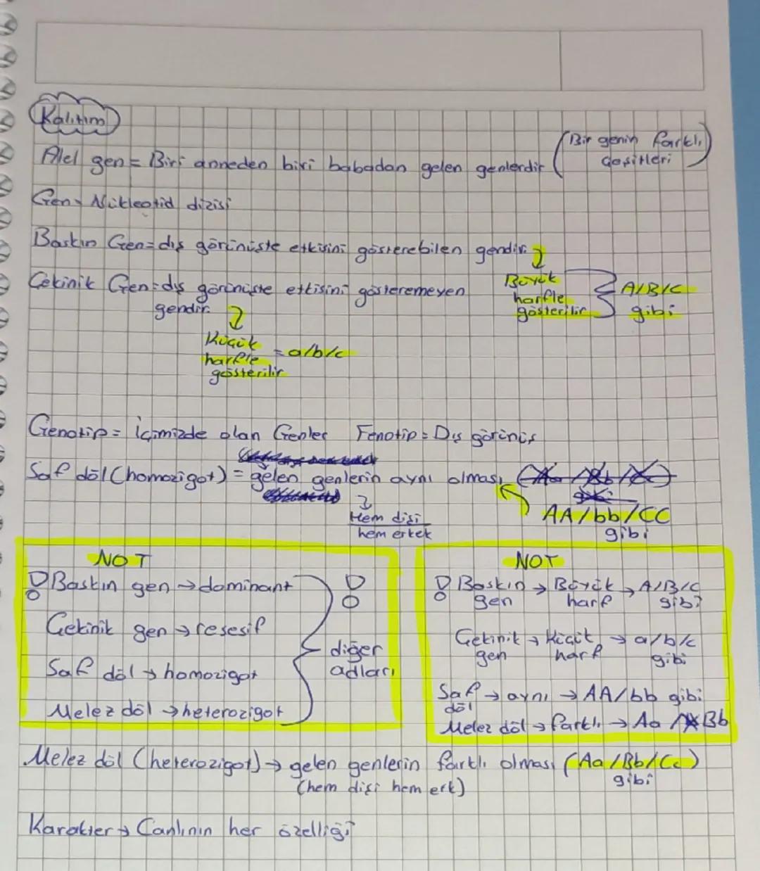 Kalihim
Allel
gen
Biri anneden biri babadan gelen genlerdir.
Gen Nükleotid dizisi
Baskin Gen=dış görünüşte etkisini gösterebilen gendiv.)
Çe