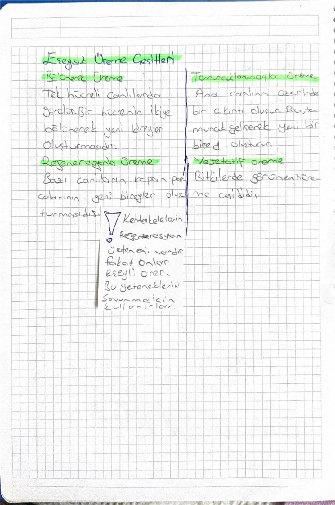 7. Sınıf Fen Bilimleri: 6. Ünite Eşeysiz Üreme Çeşitleri ve Özet
