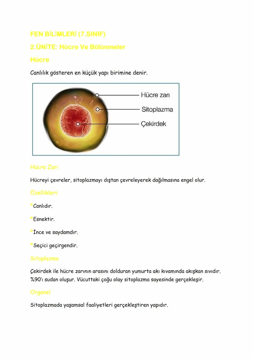 FEN BİLİMLERİ (7.SINIF)
2.ÜNİTE: Hücre Ve Bölünmeler
Hücre
Canlılık gösteren en küçük yapı birimine denir.
Hücre zari
Sitoplazma
Çekirdek
Hü