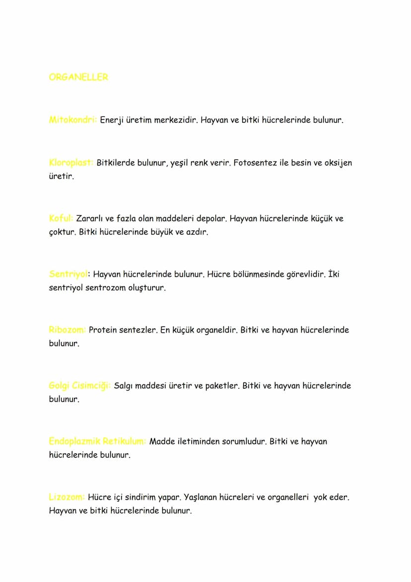 FEN BİLİMLERİ (7.SINIF)
2.ÜNİTE: Hücre Ve Bölünmeler
Hücre
Canlılık gösteren en küçük yapı birimine denir.
Hücre zari
Sitoplazma
Çekirdek
Hü