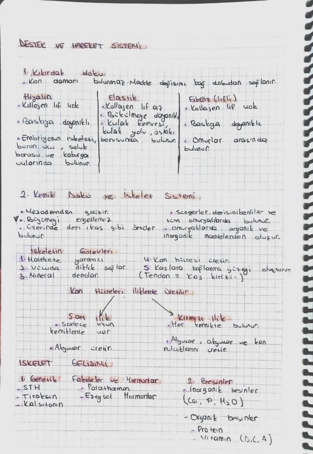 AYT BİO DESTEK VE HAREKET SİSTEMİ
