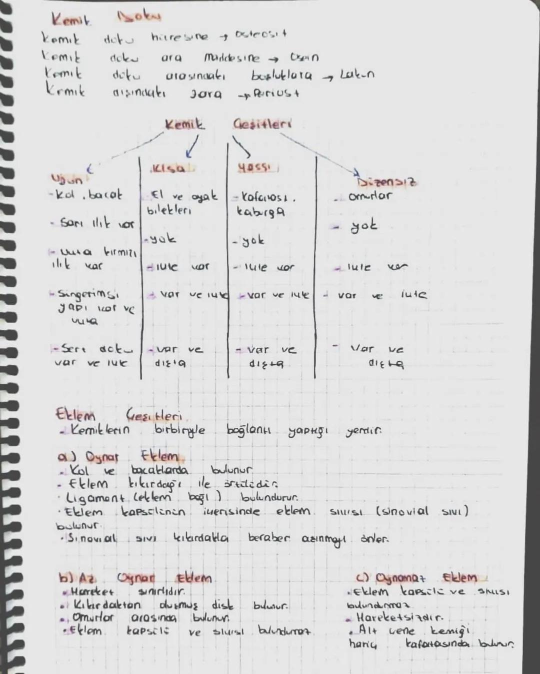 DESTEK VE HAREKET SİSTEMİ

Kıkırdak doku
- Kan damarı bulunmaz Madde değişımı bağ dokudan sağlanır.

Hiyalın | Elastik | Fibröz (lifli)
-Kol