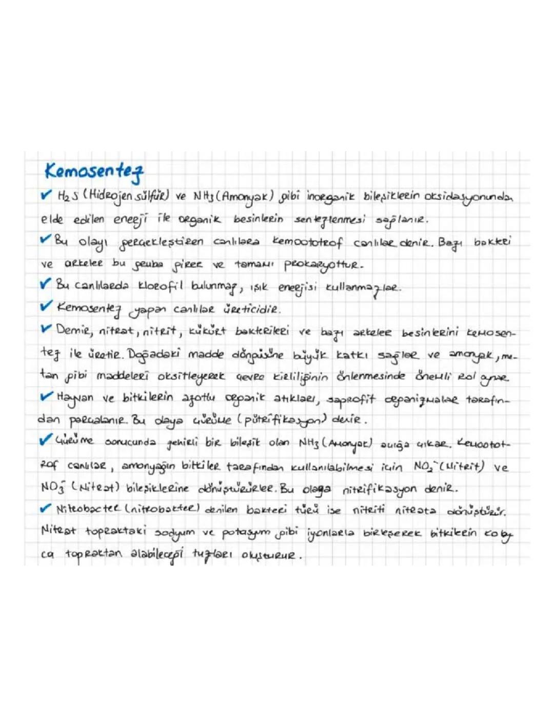 TYT BİYOLOJİ KEMOSENTEZ