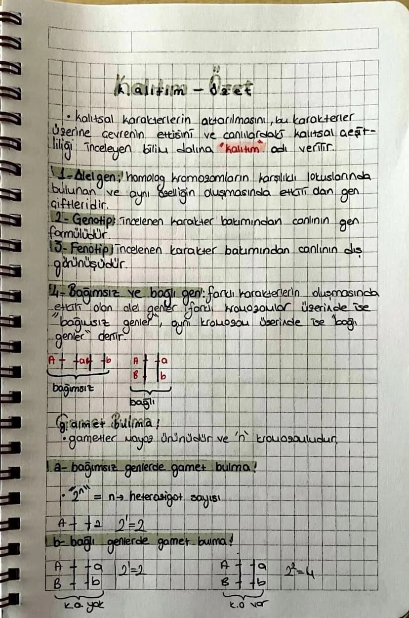 •
Kalıtım - Özet
kalitsal karakterlerin aktarılmasını, bu karakterler
Üzerine Gevrenin etkisini ve canlılardaki kalıtsal aesīt-
liliği incel