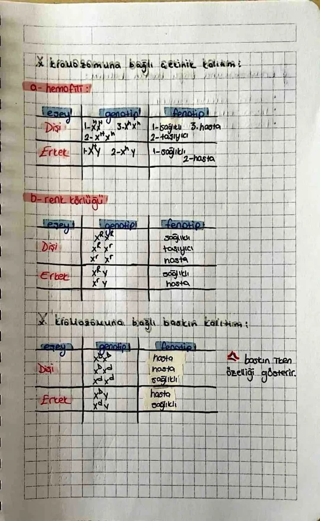 •
Kalıtım - Özet
kalitsal karakterlerin aktarılmasını, bu karakterler
Üzerine Gevrenin etkisini ve canlılardaki kalıtsal aesīt-
liliği incel