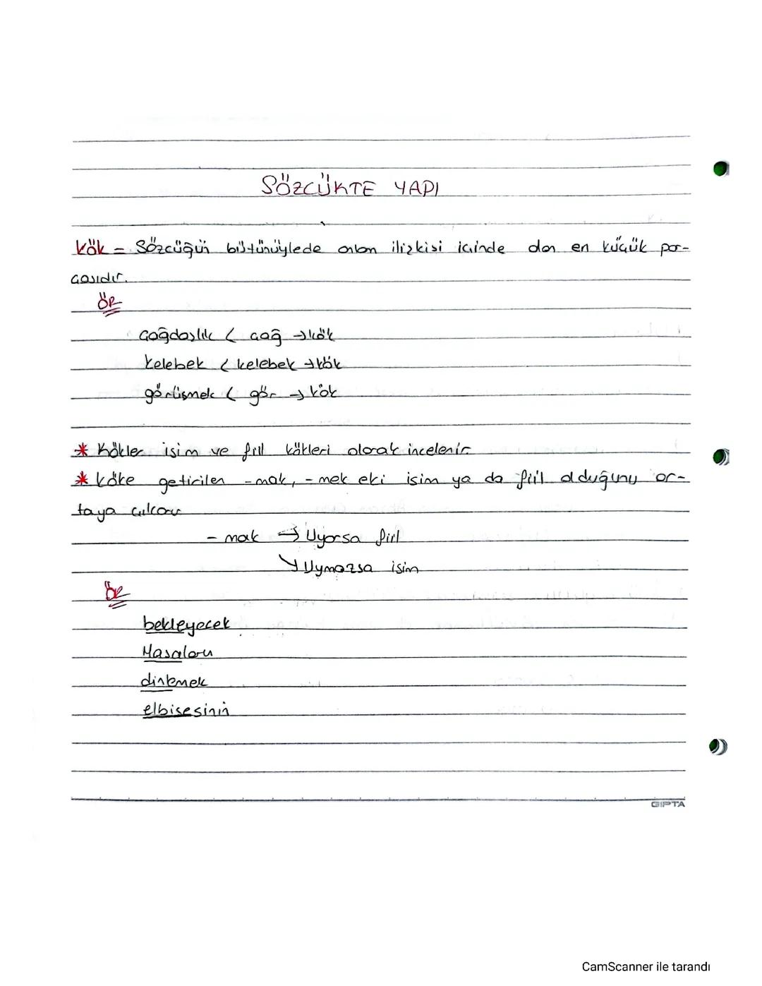 Sözcükte Yapı PDF: Eğlenceli Ders Notları ve Ek Kök Gövde Örnekleri