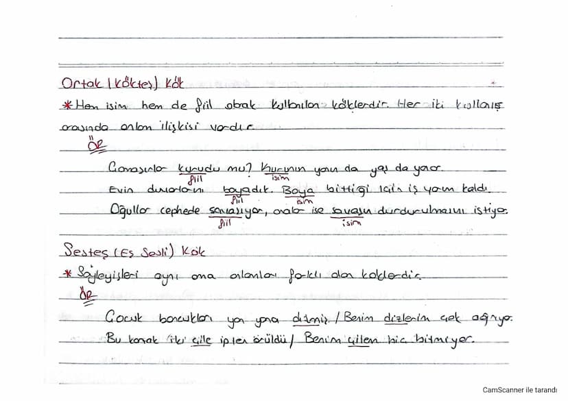 SÖZCÜKTE YAPI
kök - Sözcüğün bistünüylede orlon ilişkisi içinde don en küçük por-
Gasıdır.
ÖR
• Gağdaşlık ( çağ skök
kelebek (kelebek tkők
g