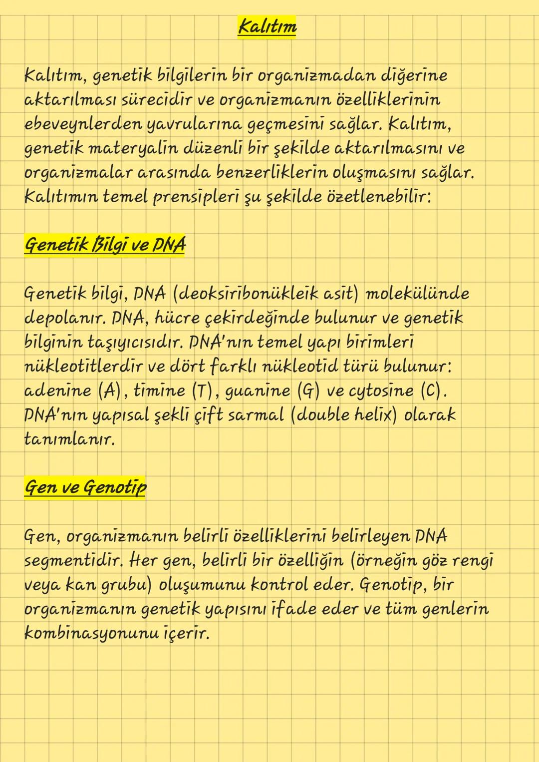 10.SINIF - KALITIM