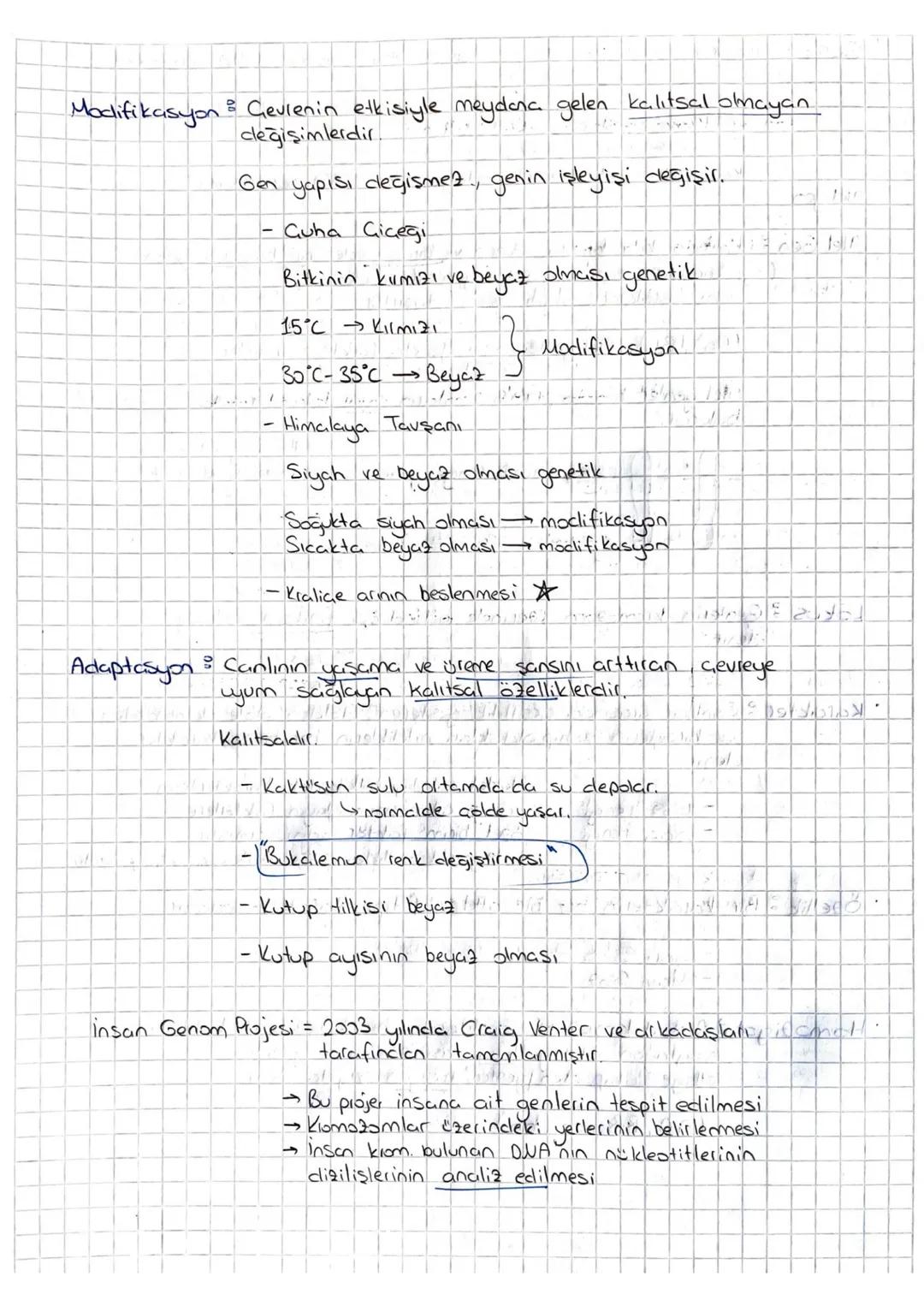 # Kalıtım

Genlerin kromozomlar üzerinde yer aklığını gösteren = Kalıtımın Kronozom
Teorisi
Canlı soylan dasındaki benzerlik ve farklılıklar