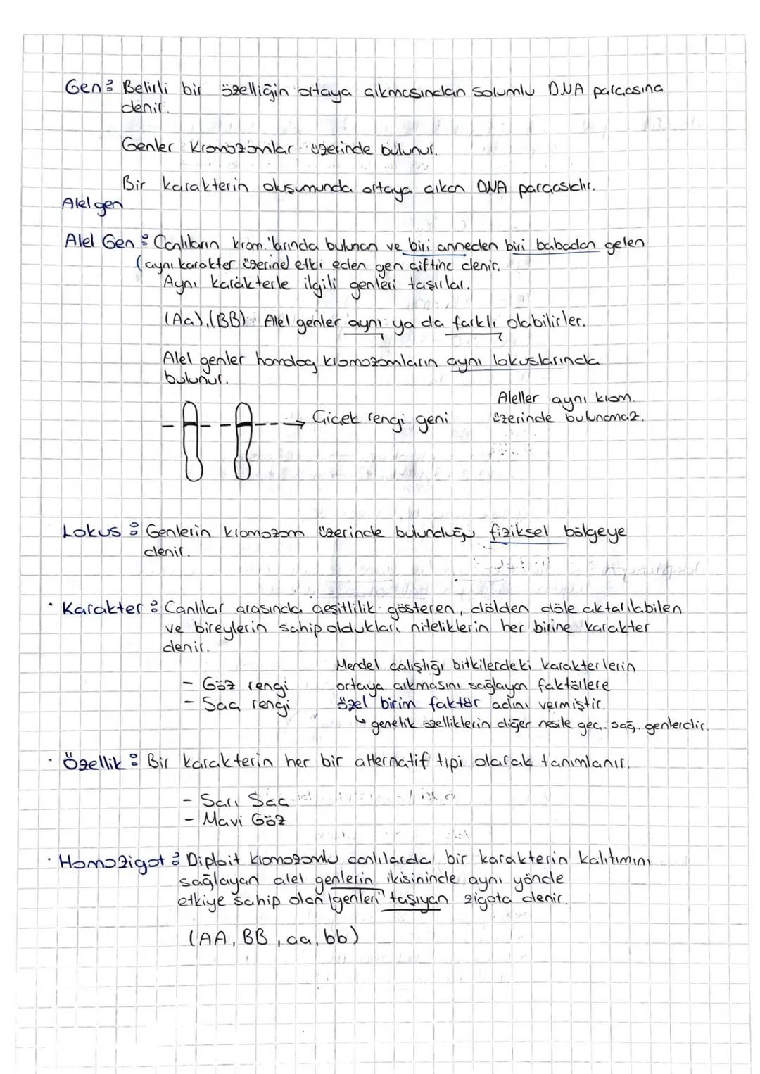# Kalıtım

Genlerin kromozomlar üzerinde yer aklığını gösteren = Kalıtımın Kronozom
Teorisi
Canlı soylan dasındaki benzerlik ve farklılıklar