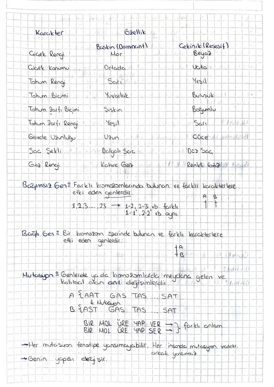 # Kalıtım

Genlerin kromozomlar üzerinde yer aklığını gösteren = Kalıtımın Kronozom
Teorisi
Canlı soylan dasındaki benzerlik ve farklılıklar