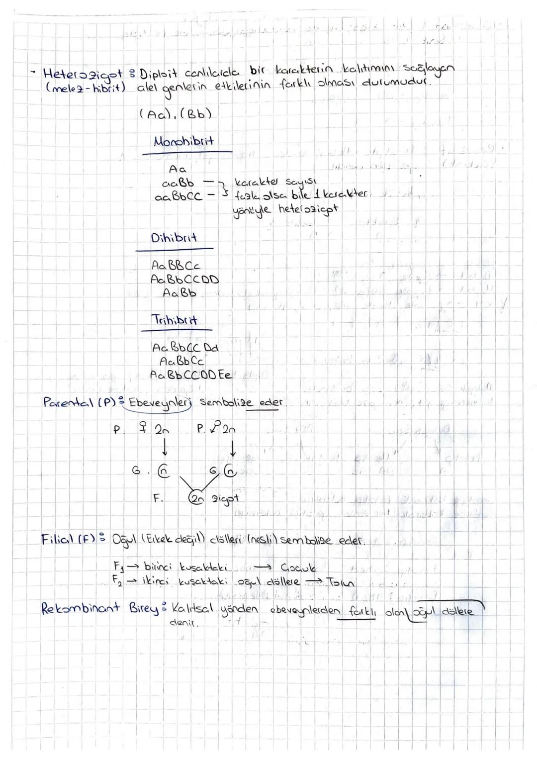 # Kalıtım

Genlerin kromozomlar üzerinde yer aklığını gösteren = Kalıtımın Kronozom
Teorisi
Canlı soylan dasındaki benzerlik ve farklılıklar