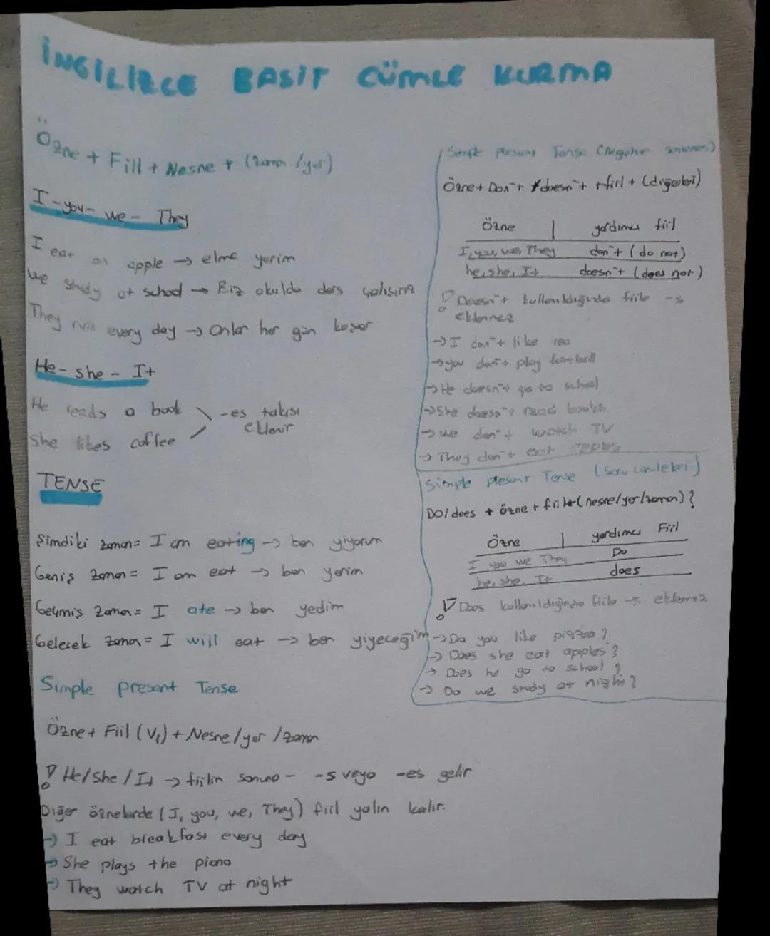 İngilizce Basit Cümle Kuralları ve Tense'ler