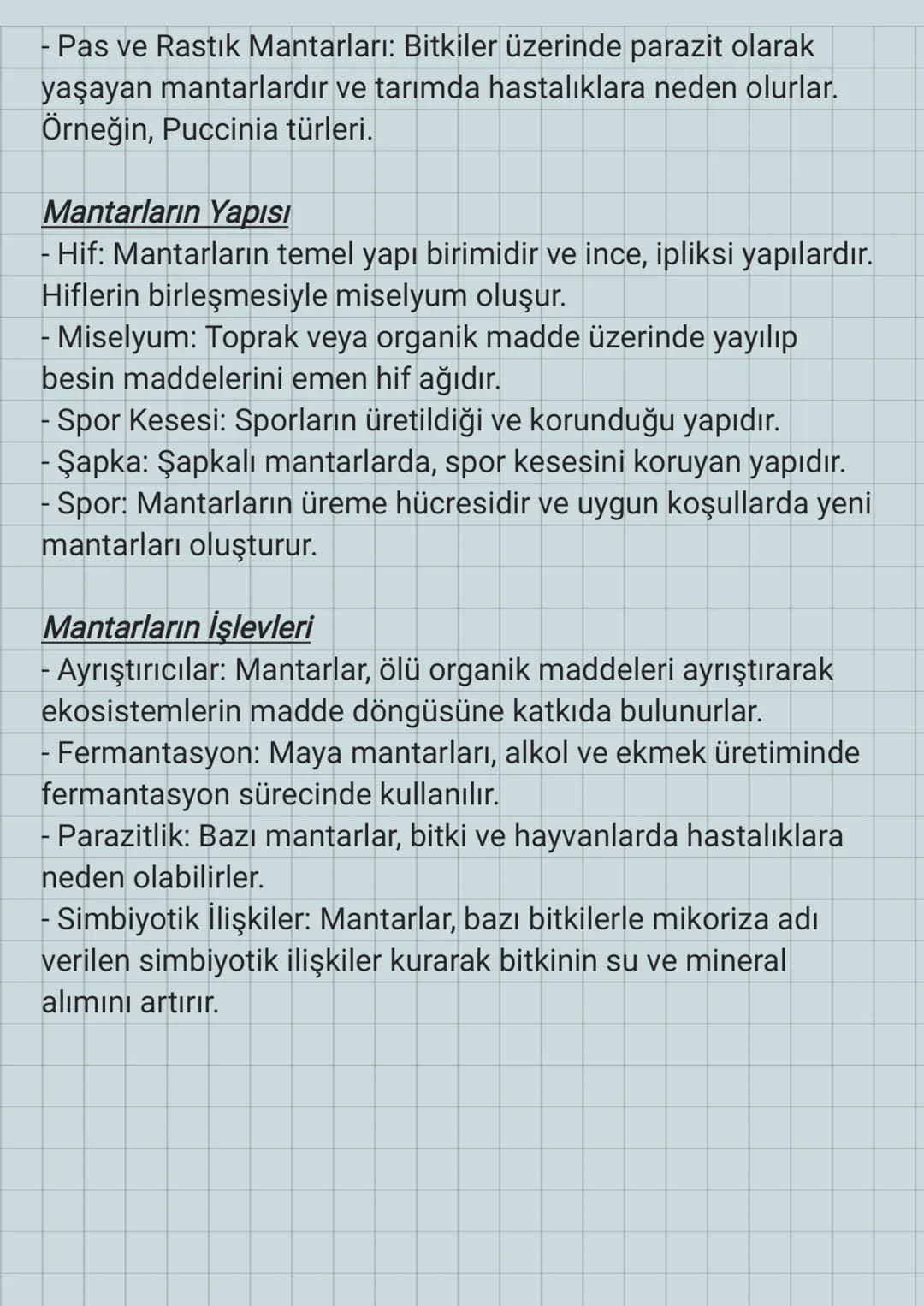 NHH
Mantarlar
+150-0
Mantarlar, çoğunlukla çok hücreli, bazıları ise tek hücreli olan
heterotrof organizmalardır. Klorofil içermezler ve fot
