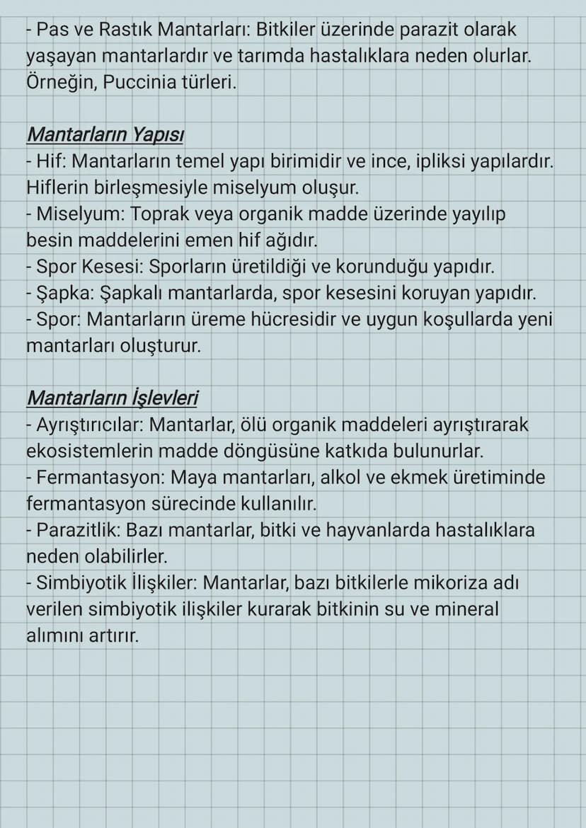 NHH
Mantarlar
+150-0
Mantarlar, çoğunlukla çok hücreli, bazıları ise tek hücreli olan
heterotrof organizmalardır. Klorofil içermezler ve fot