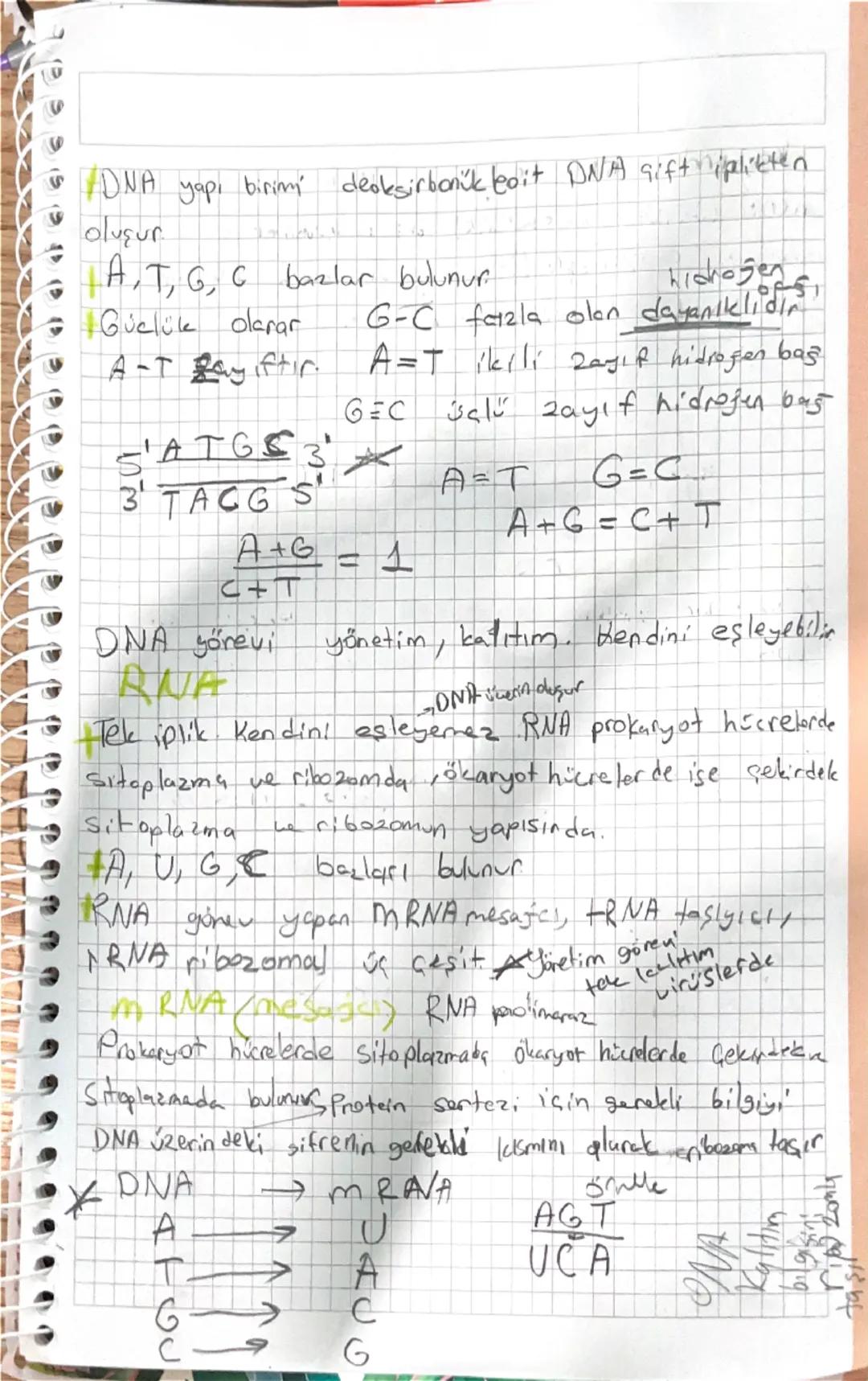 # BİYOLOJI

Nikel Abitoon Kese

Ilk olarak Friedrich Miescher tarafından núklein adı
Verilen moleküllere günümüzde çekirdekte bulunan asit a