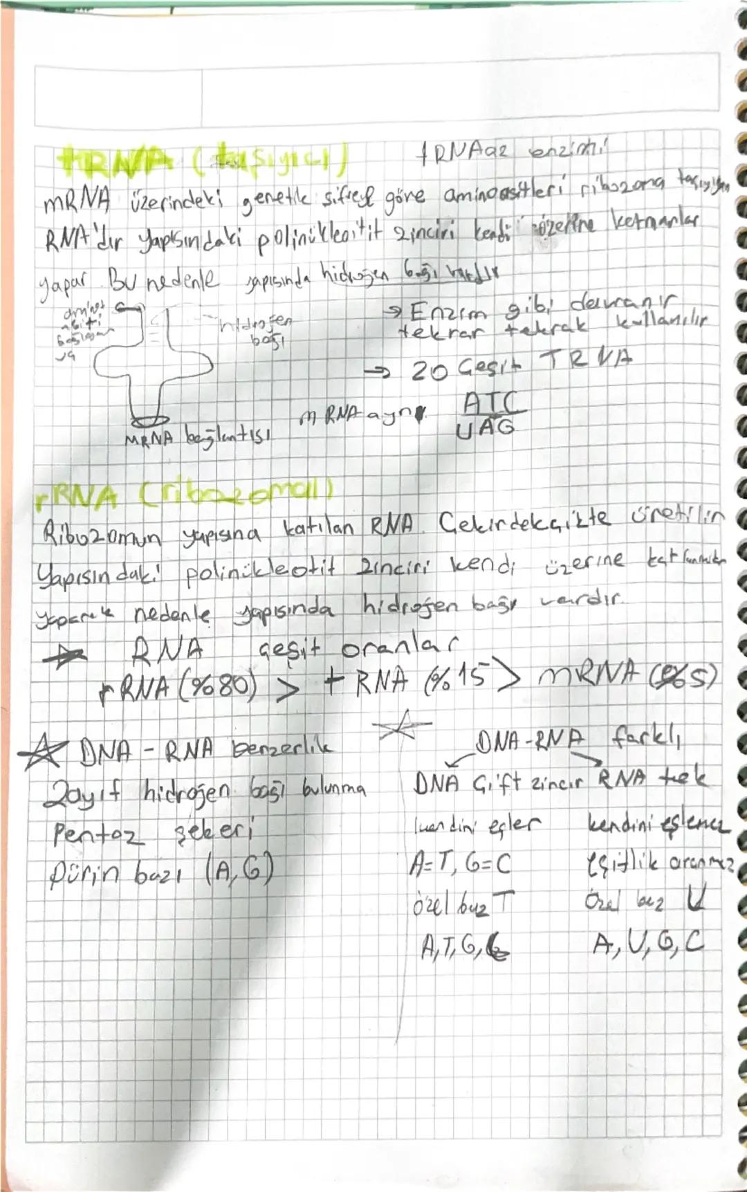 # BİYOLOJI

Nikel Abitoon Kese

Ilk olarak Friedrich Miescher tarafından núklein adı
Verilen moleküllere günümüzde çekirdekte bulunan asit a