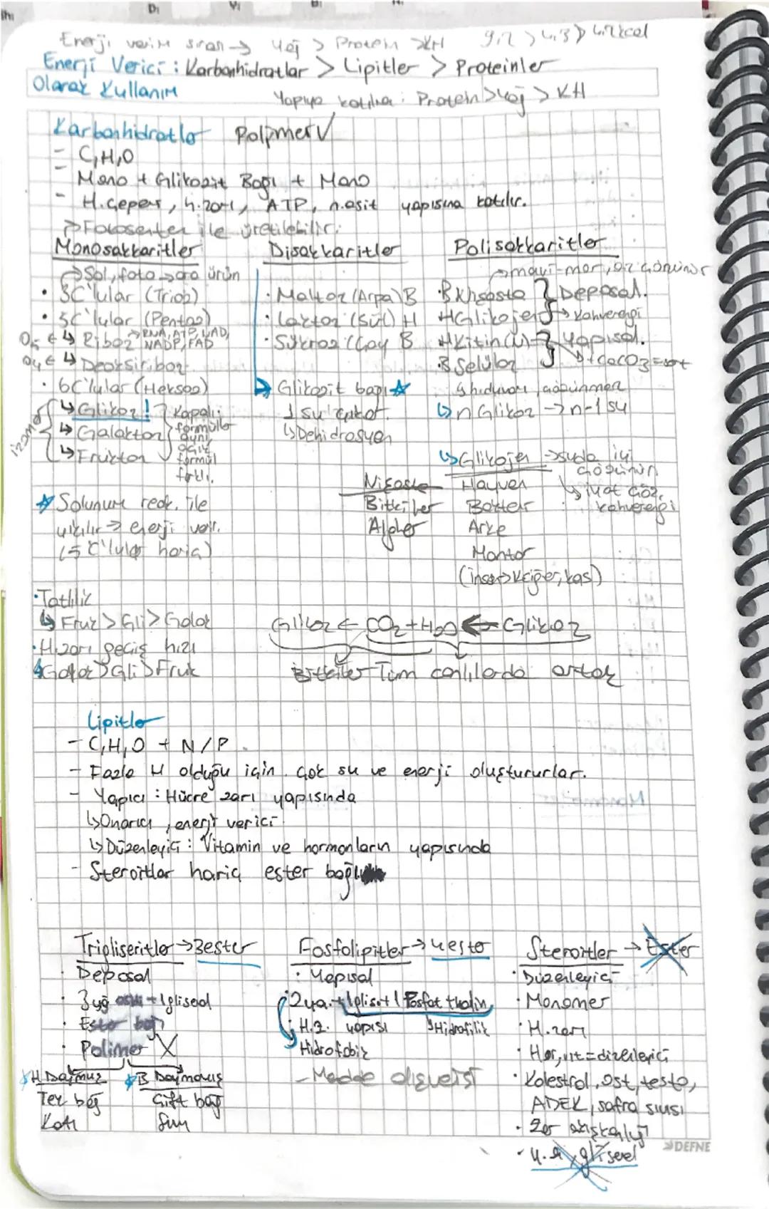 Th
D
Enerji verim siran Чет> Proxein
git 43 wiricel
Enerji Verici: Karbonhidratlar > Lipitler > Proteinler
Olarak Kullanım
Yopup katilha Pro