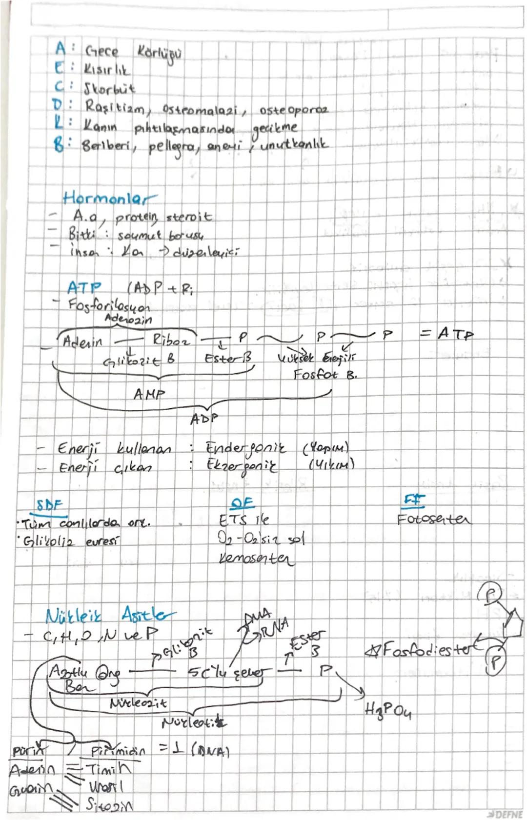 Th
D
Enerji verim siran Чет> Proxein
git 43 wiricel
Enerji Verici: Karbonhidratlar > Lipitler > Proteinler
Olarak Kullanım
Yopup katilha Pro