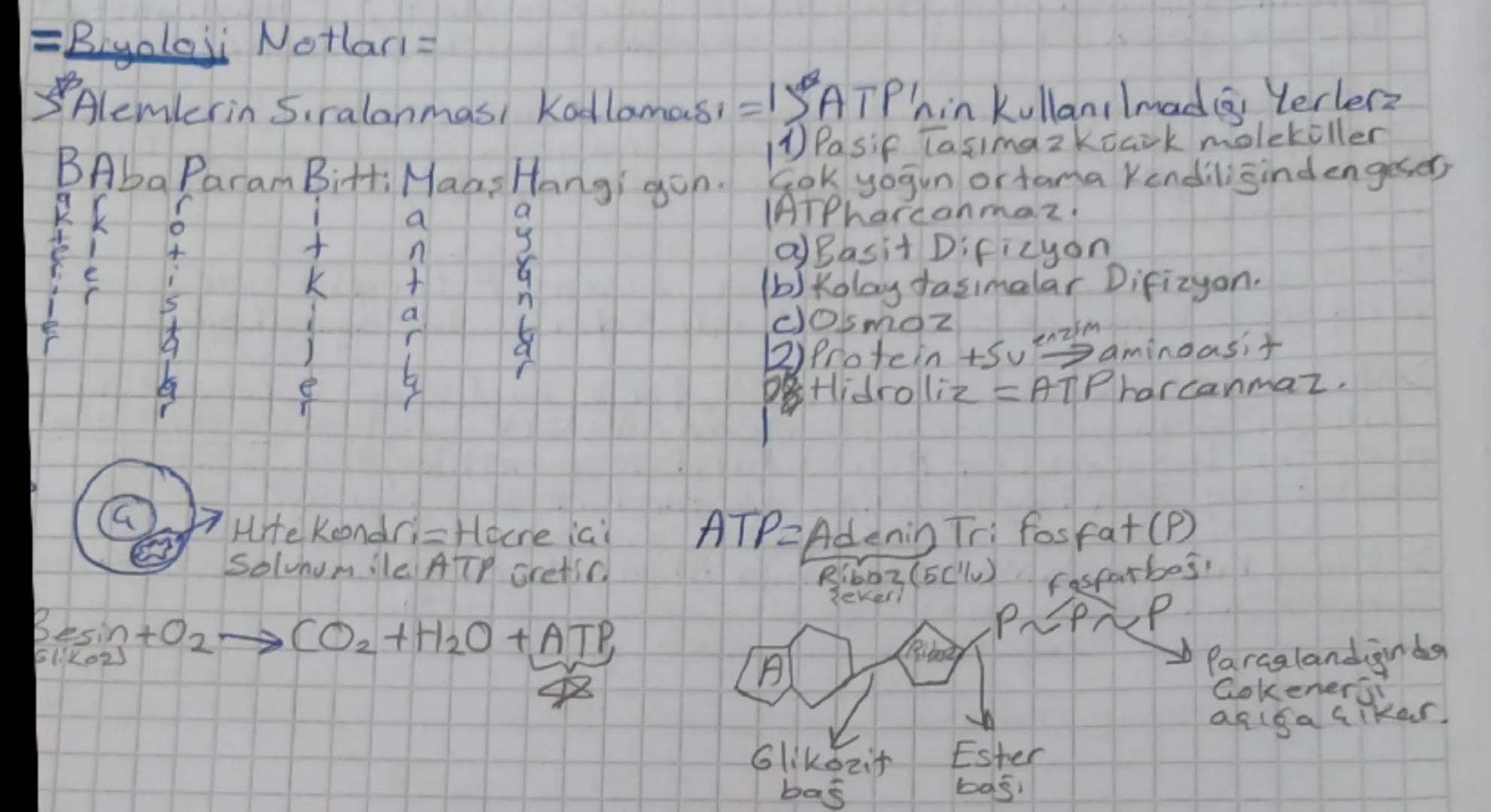 ## =Biyoloji Notları

→1. Güneş enerjisi fotosentez ile Kimyasal Bağ Enerjisine.
dönüşür.
Kloroplast Caift zarlı)

2. Kimyasal Bağ Enerjisi 