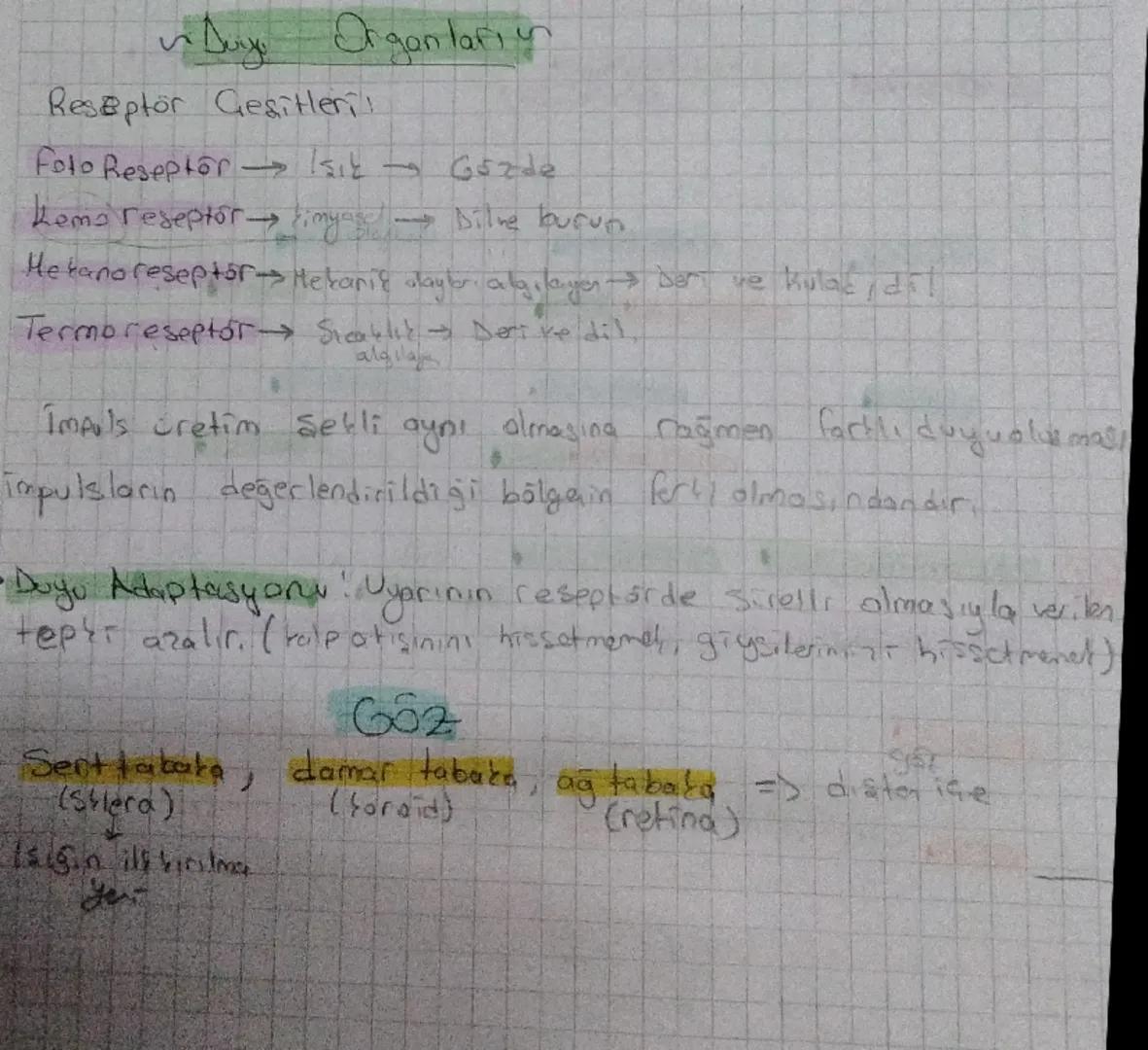 # Duye Organların

Reseptor Gesitleri!

Foto Reseptorと Işık → Gozde

Kemo reseptor kimyas → Bilne burun

Hekano reseptor Hekanik daybr. algı