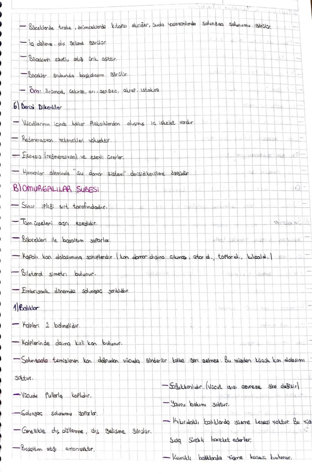 Hayvanlar Alemi
Gok hücrelidir.
- Okaryottur
Heletroftur
Genellikle aktif hareket eder.
Tomurcuklanarak, rejenerasyonla bazı ayeleri esensiz