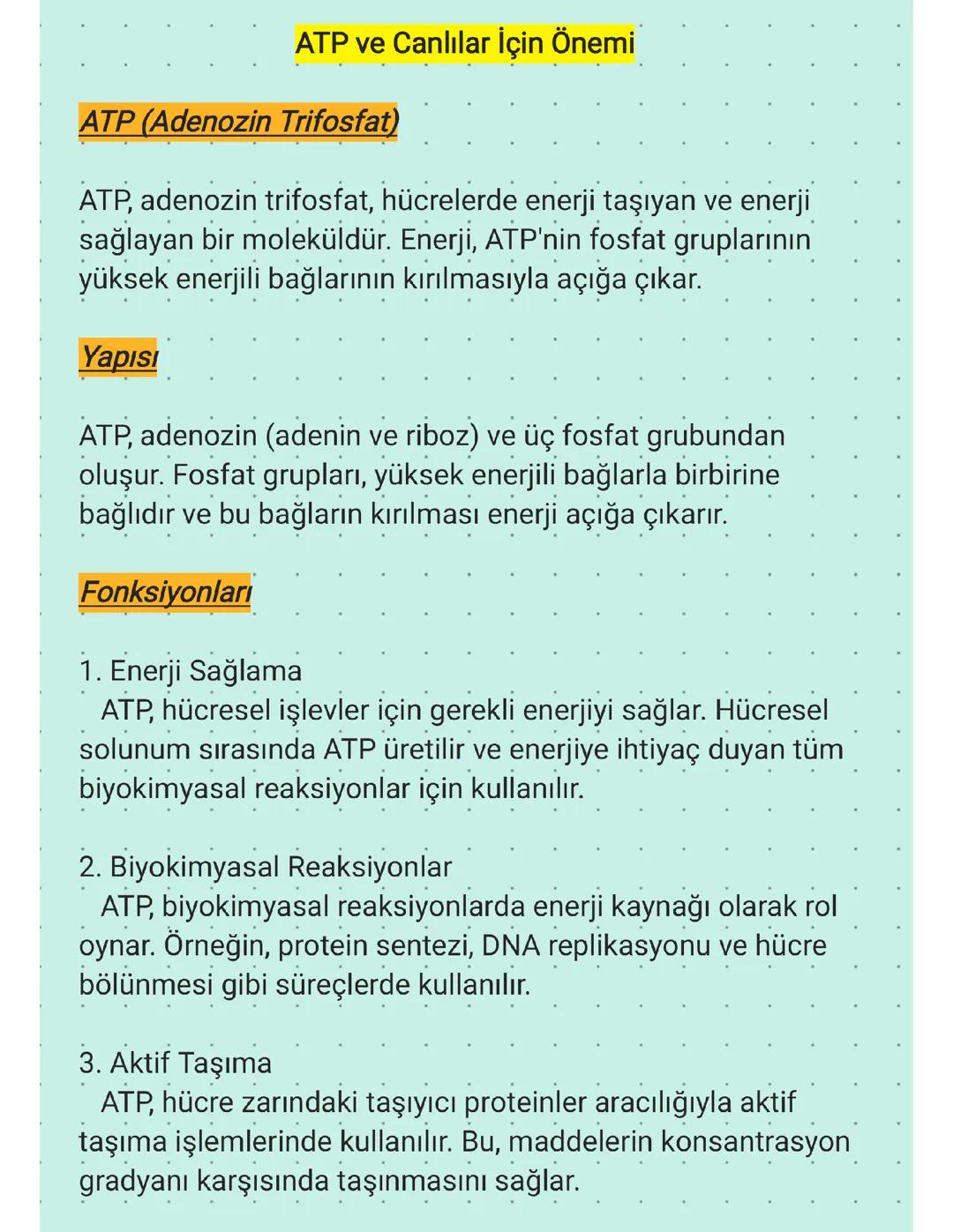 9.SINIF - ATP VE CANLILAR İÇİN ÖNEMİ