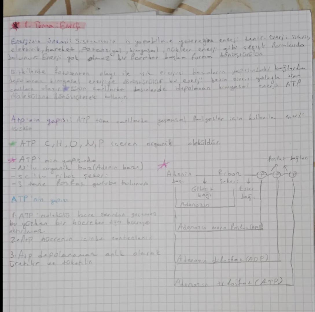 # 1.Tema: Enerji
Enerjinin ürevi Sistemlerin iş yapabilme yeterliğine enerji denir.Enerji; ışık, elektrik, hareket, potansiyel, kimyasal, nü