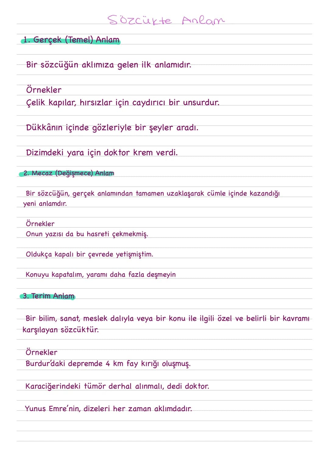 Sözcükte Anlam
1. Gerçek (Temel) Anlam
Bir sözcüğün aklımıza gelen ilk anlamıdır.
Örnekler
Çelik kapılar, hırsızlar için caydırıcı bir unsur