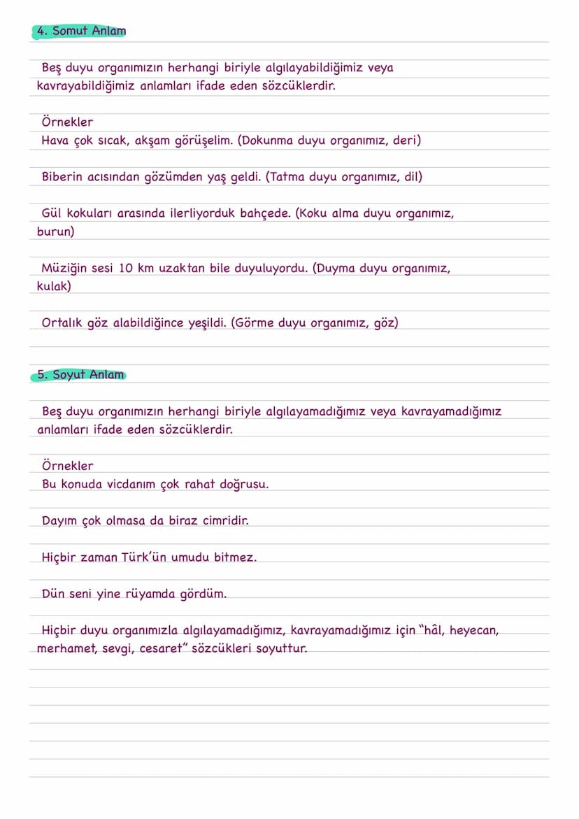 Sözcükte Anlam
1. Gerçek (Temel) Anlam
Bir sözcüğün aklımıza gelen ilk anlamıdır.
Örnekler
Çelik kapılar, hırsızlar için caydırıcı bir unsur