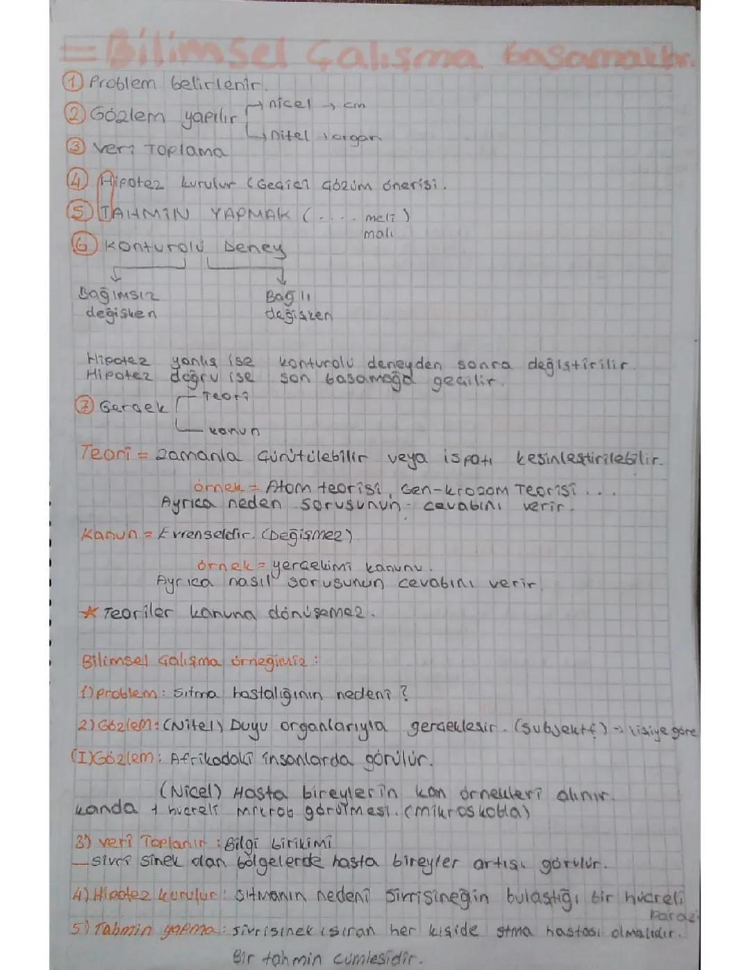 9. Sınıf yeni müfredat biyoloji bilimsel çalışma basamakları 