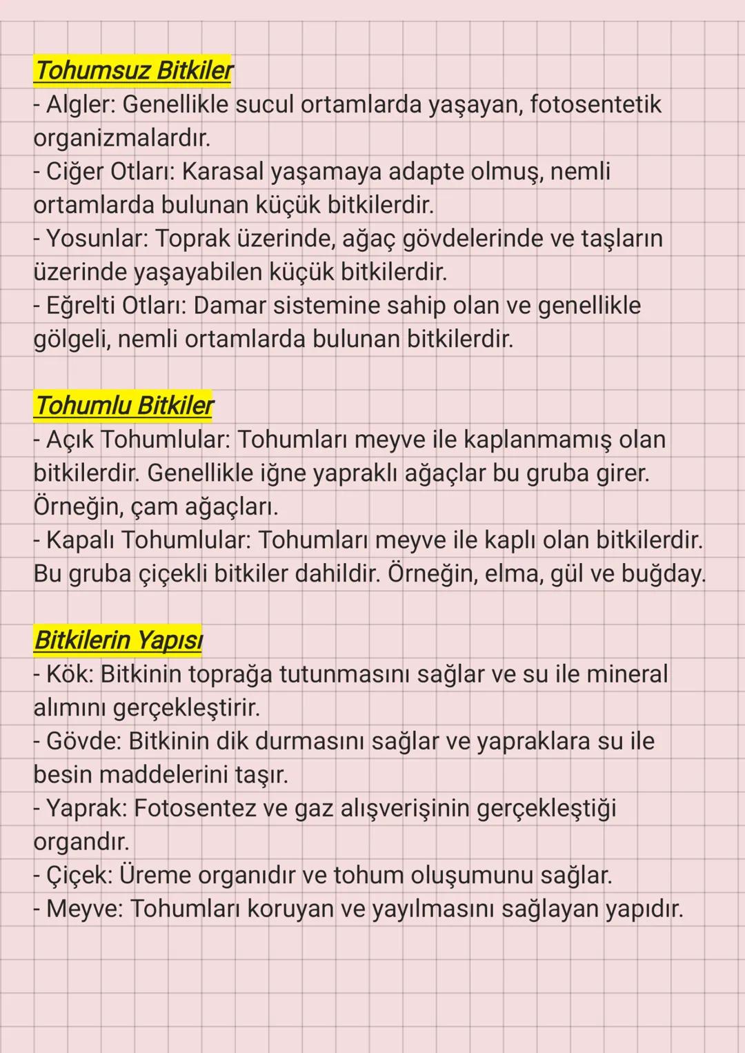 Sitoplazma
Çekirdekçik
Çekirdek
Bitkiler
BİTKİ HÜCRESİ
Endoplazmik retikulum
Hücre duvarı
Hücre zari
Hücre duvarı
Ribozom
Mitokondri
Kloropl