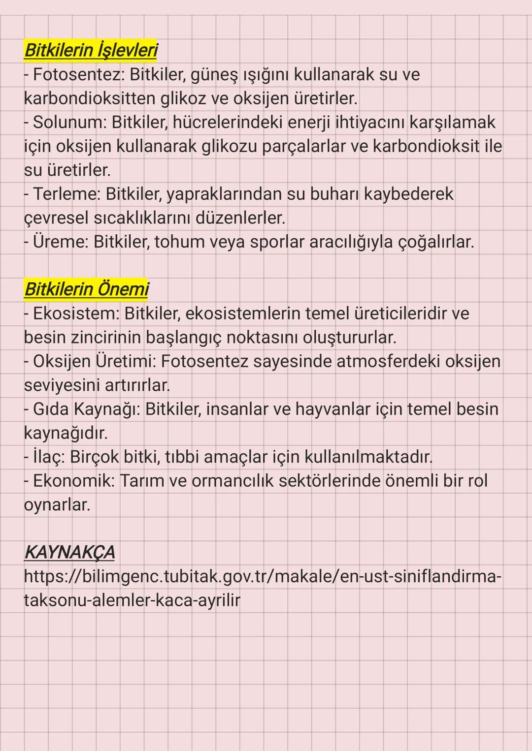 Sitoplazma
Çekirdekçik
Çekirdek
Bitkiler
BİTKİ HÜCRESİ
Endoplazmik retikulum
Hücre duvarı
Hücre zari
Hücre duvarı
Ribozom
Mitokondri
Kloropl